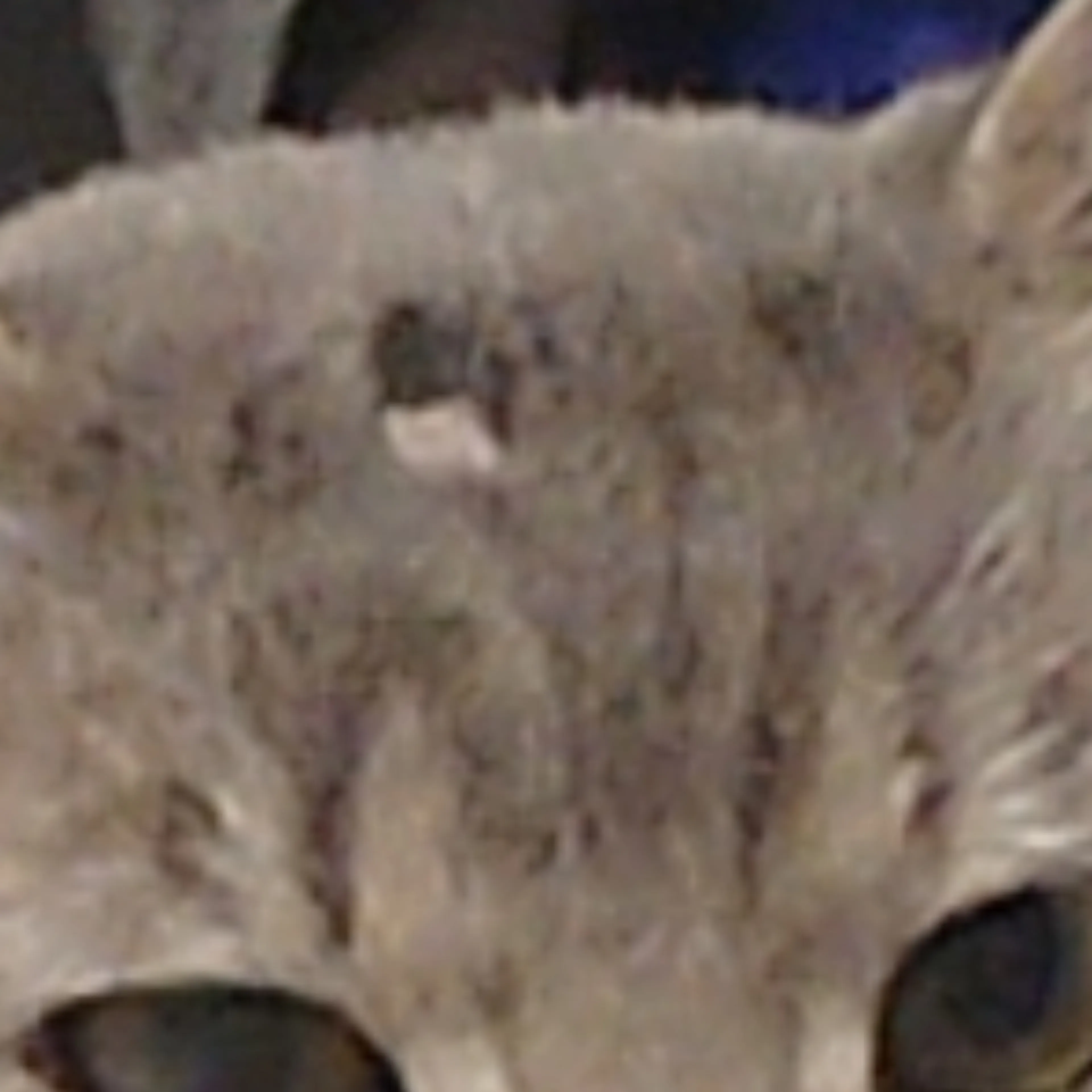 -3