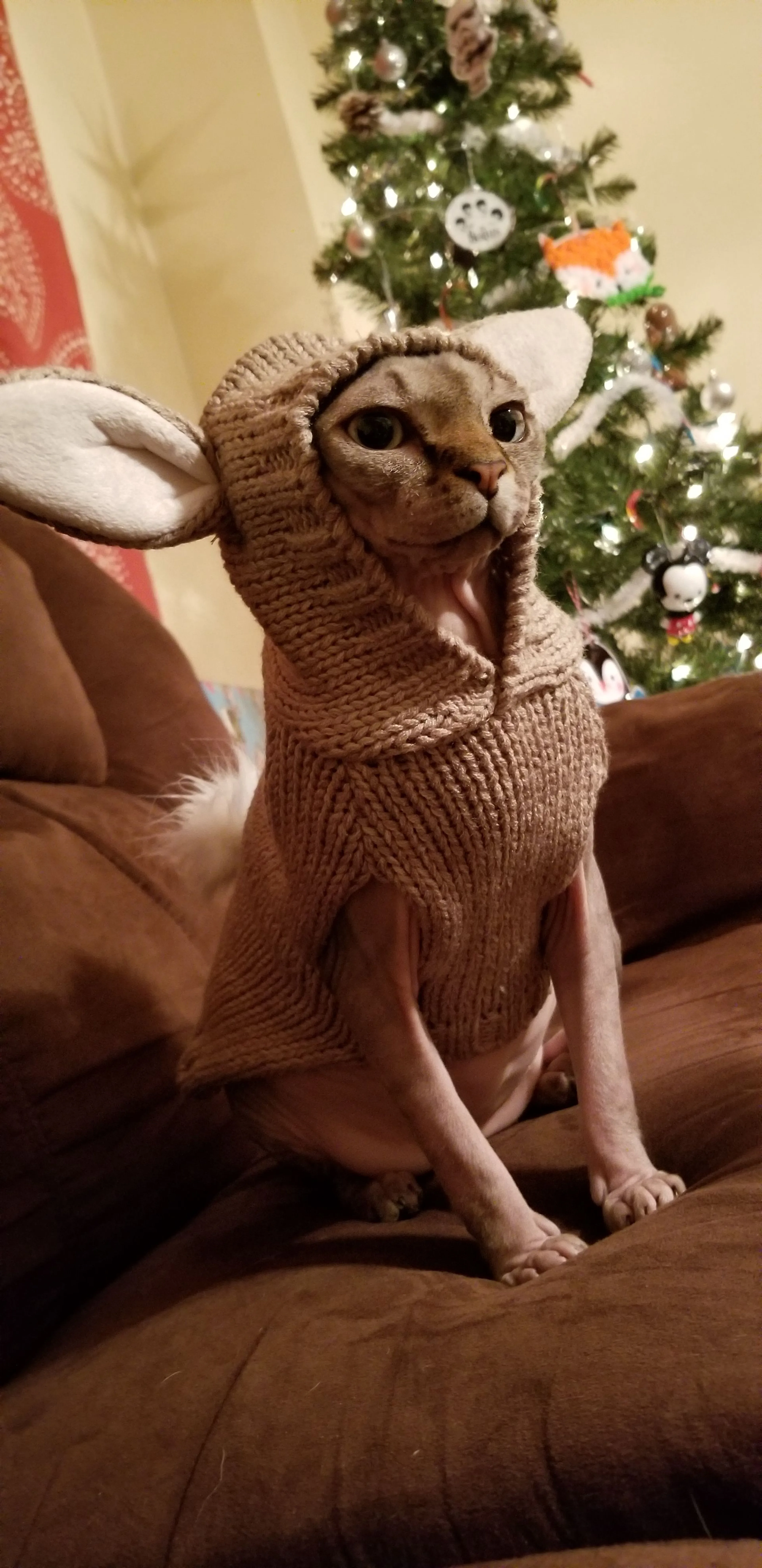 -3