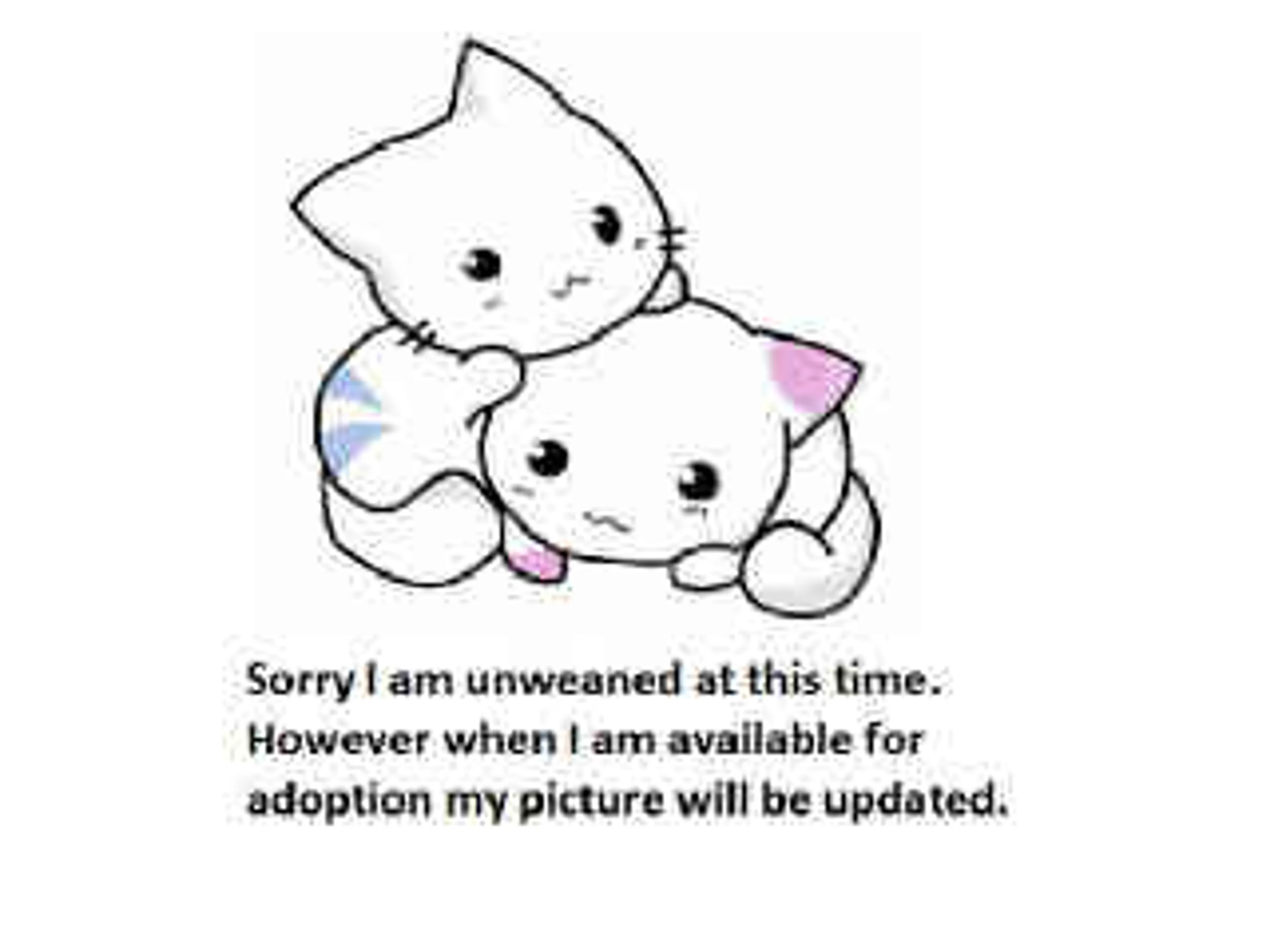 cdn image