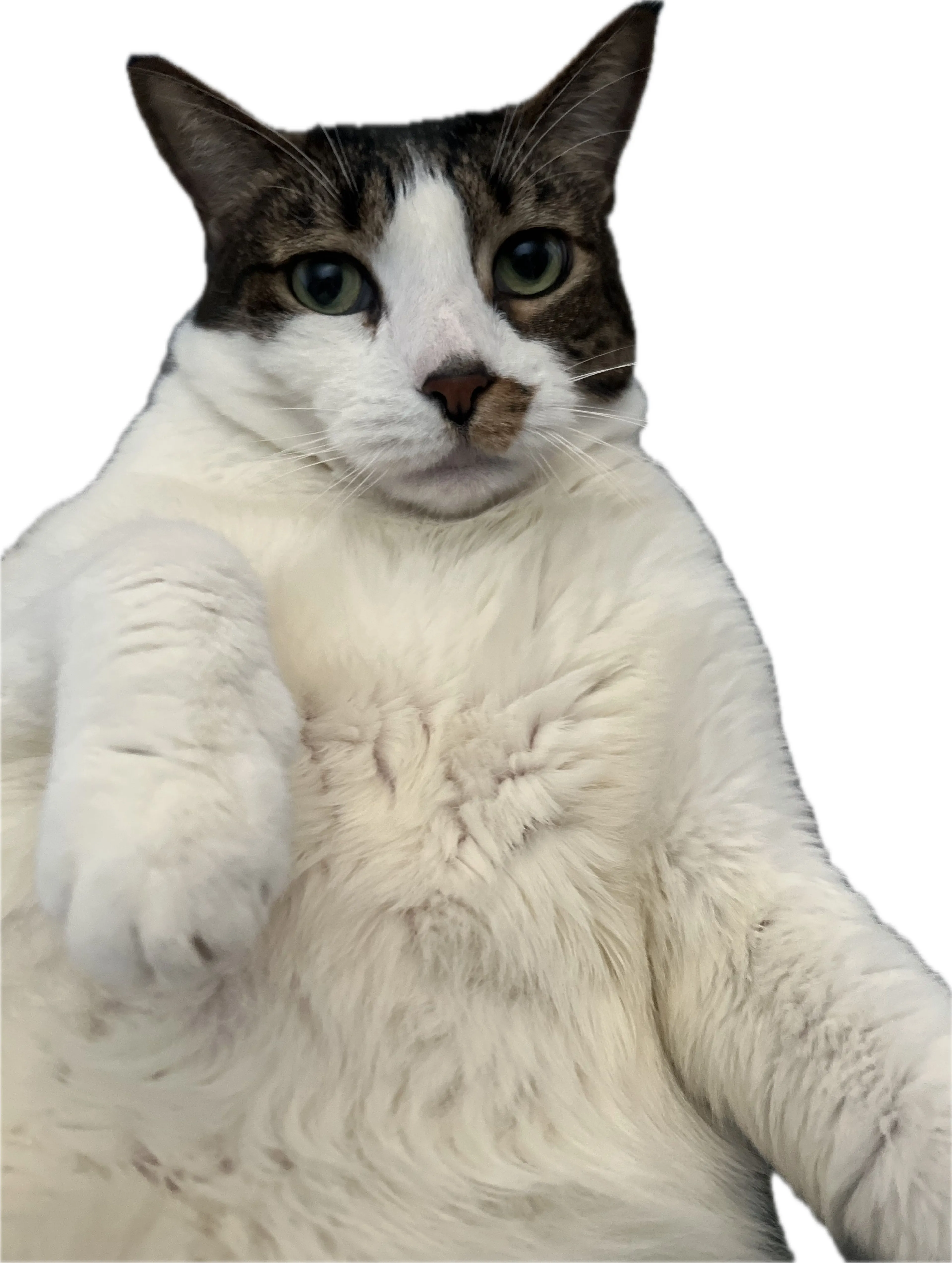 -1