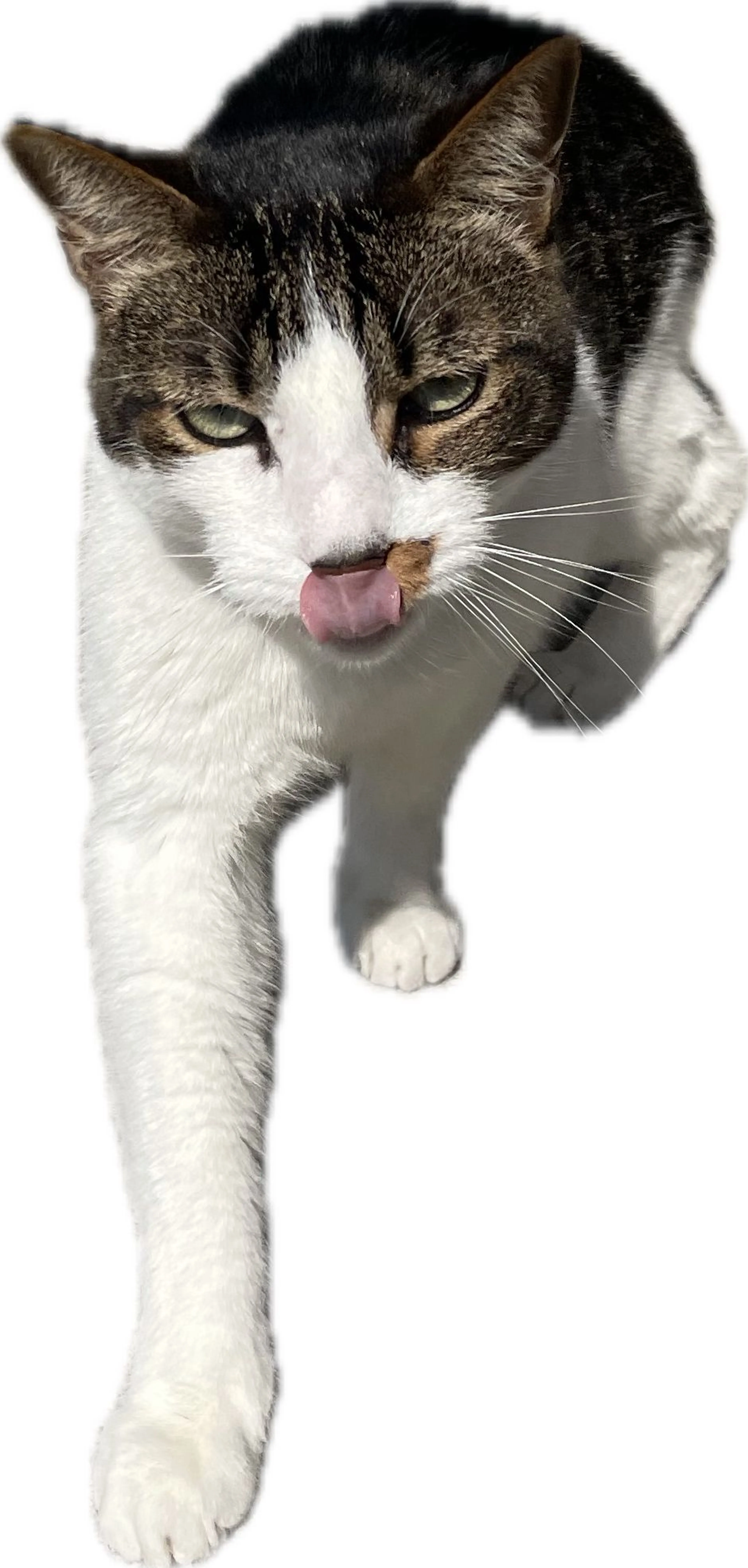 -0