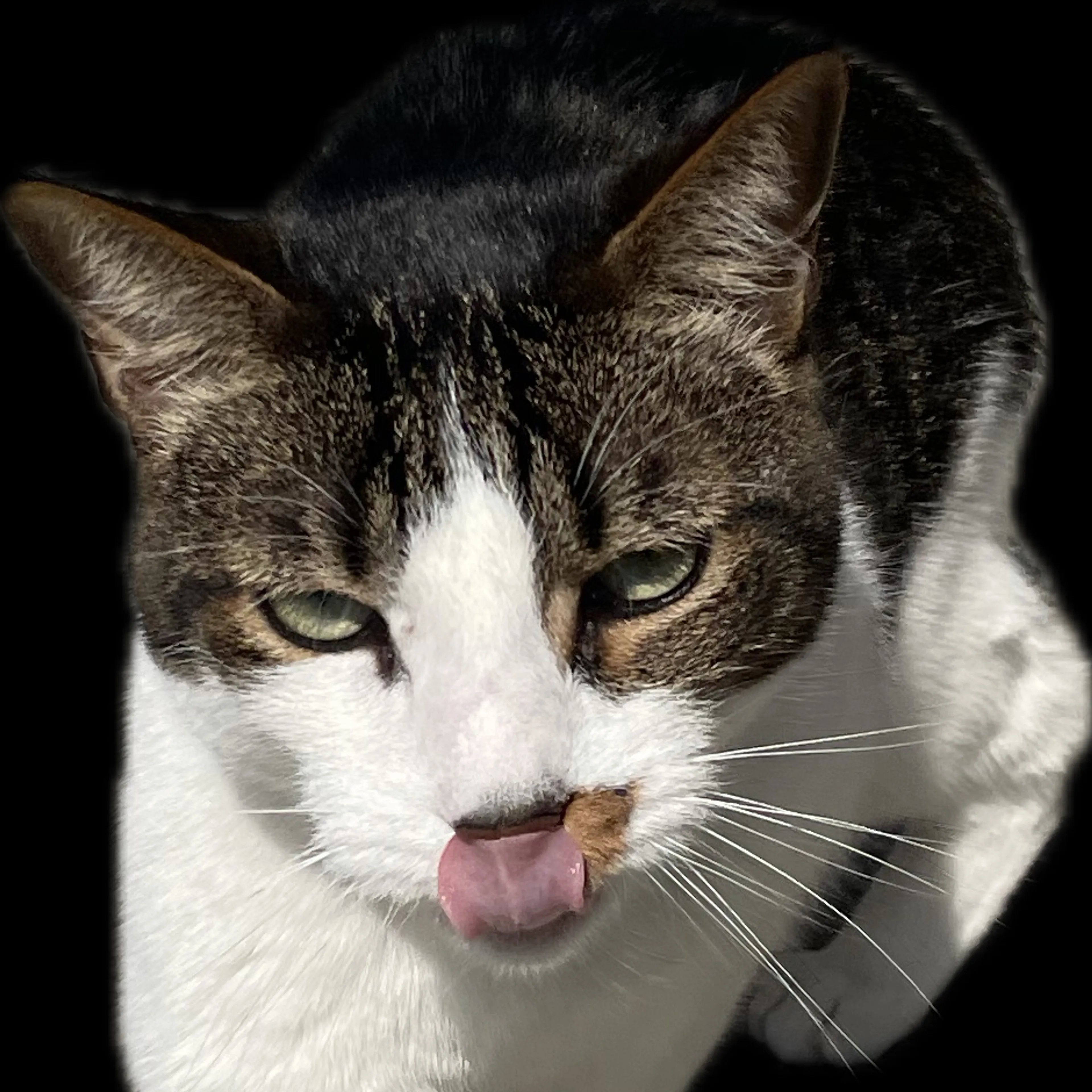 -1