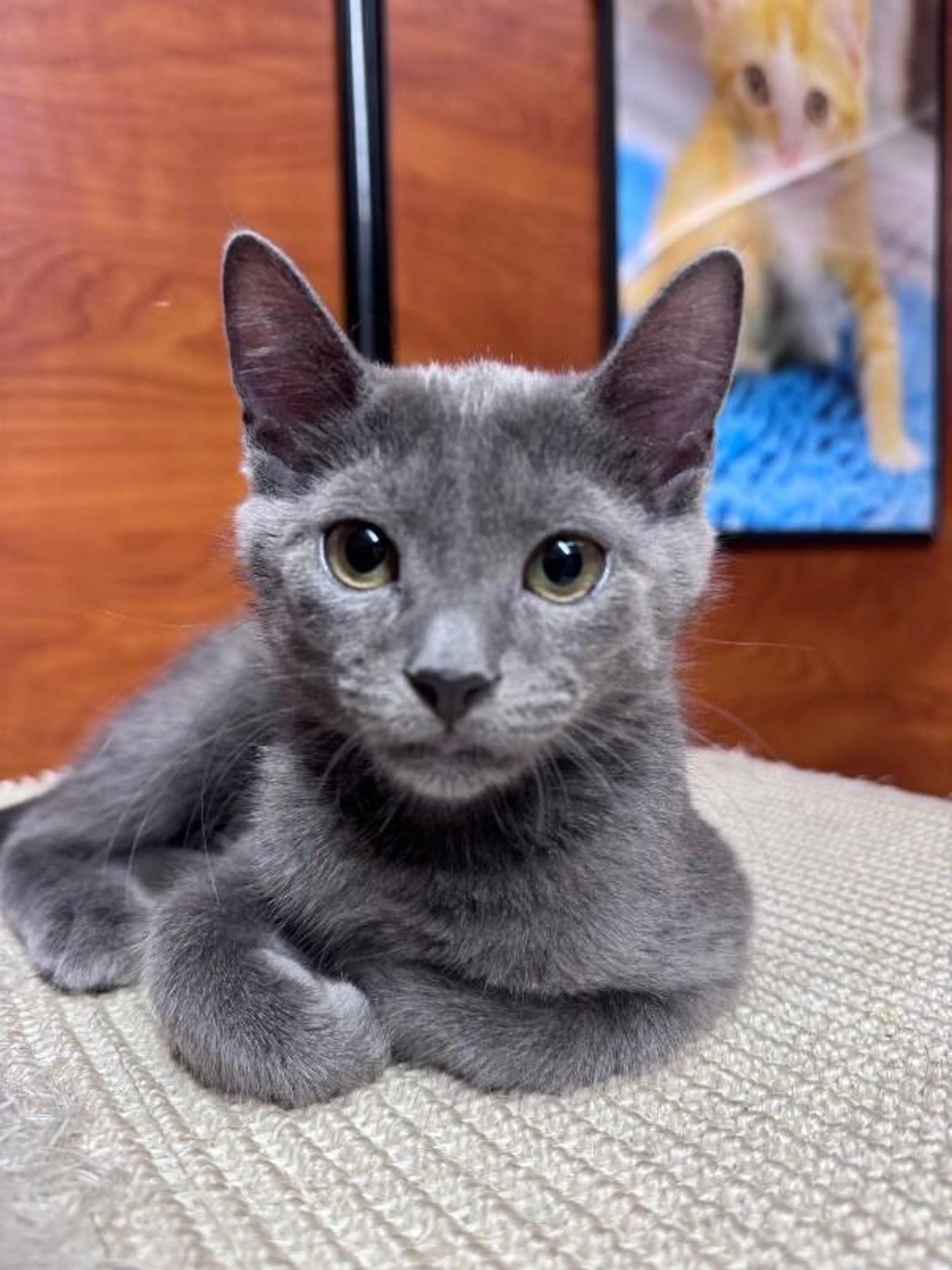 -3