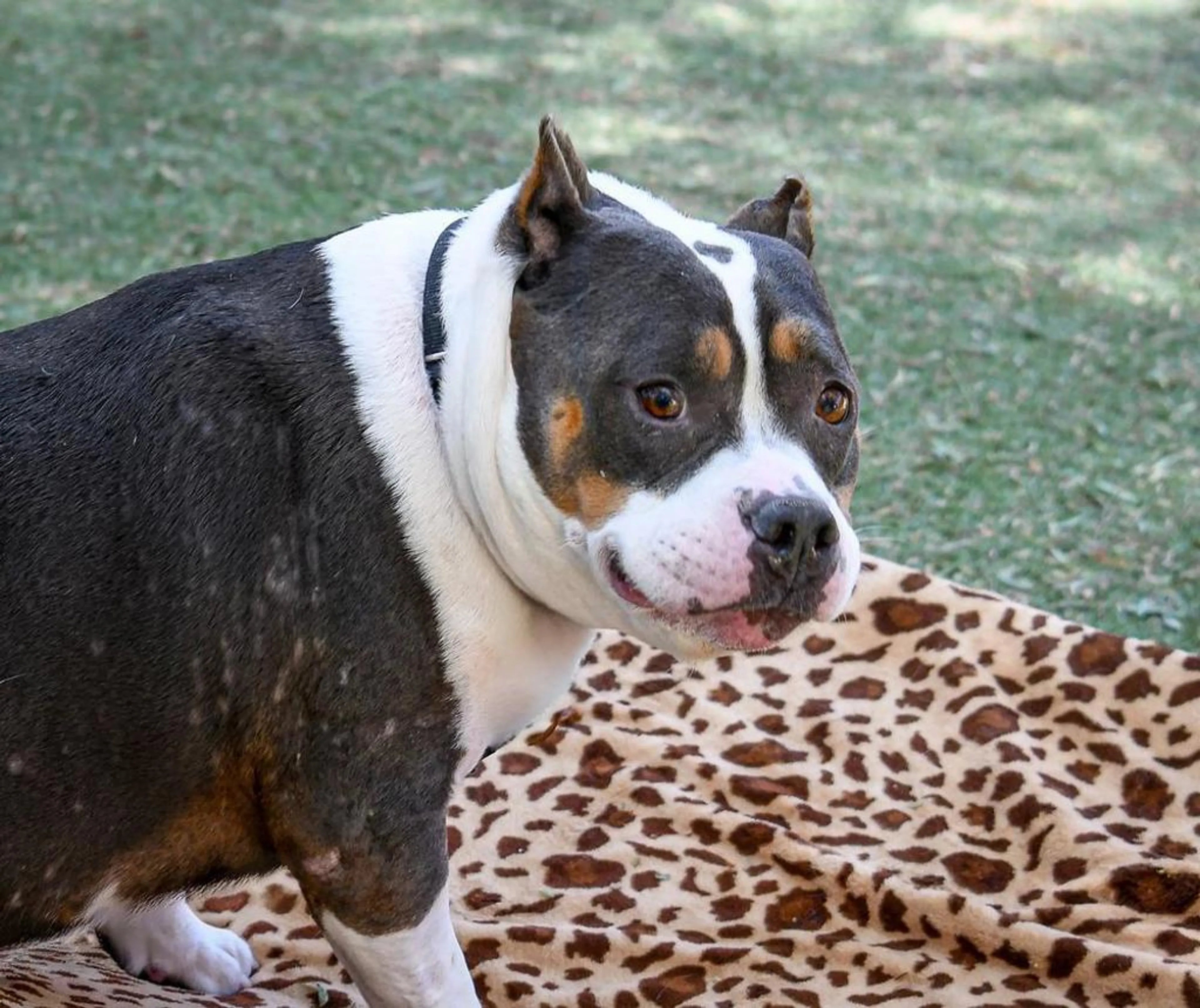 -1