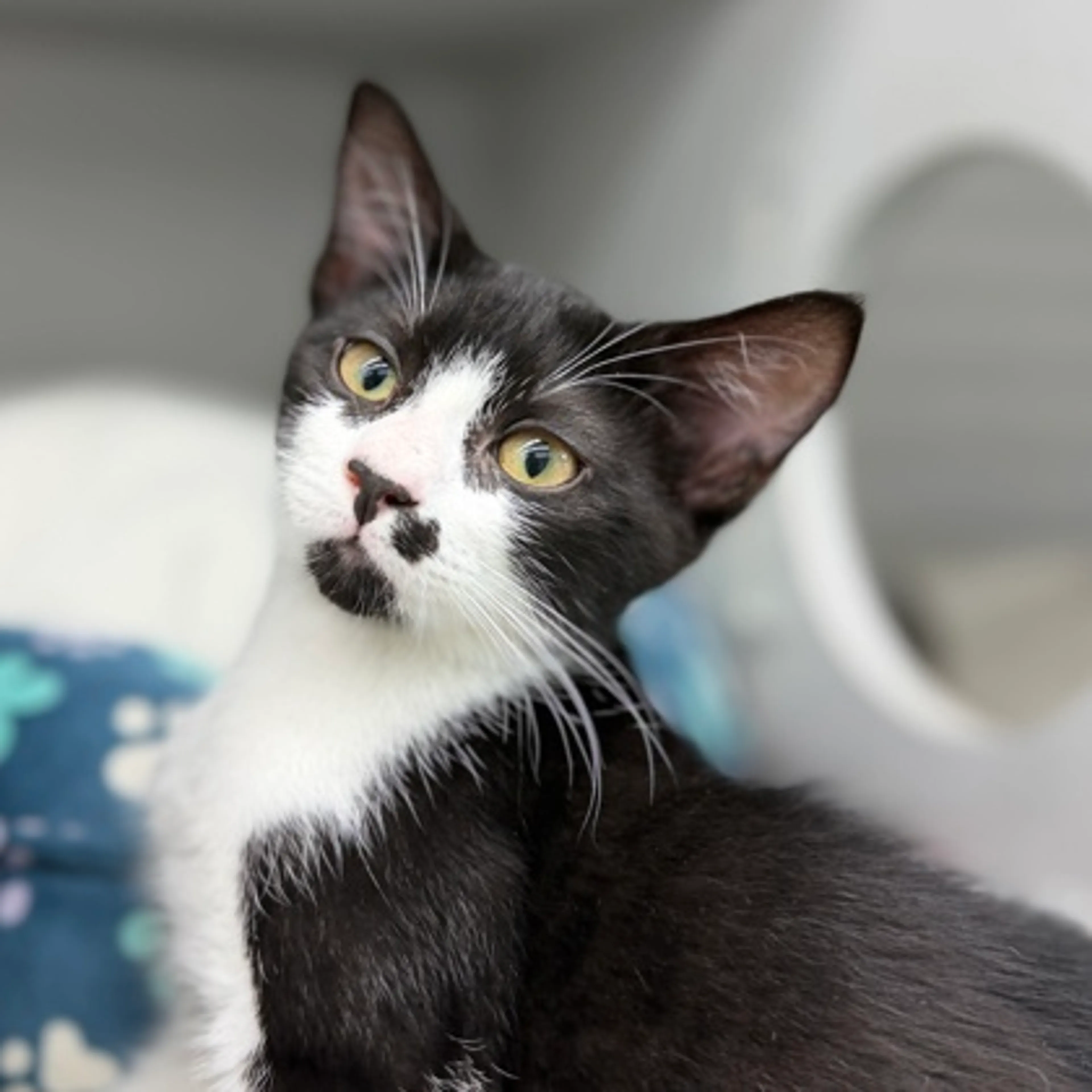 -0