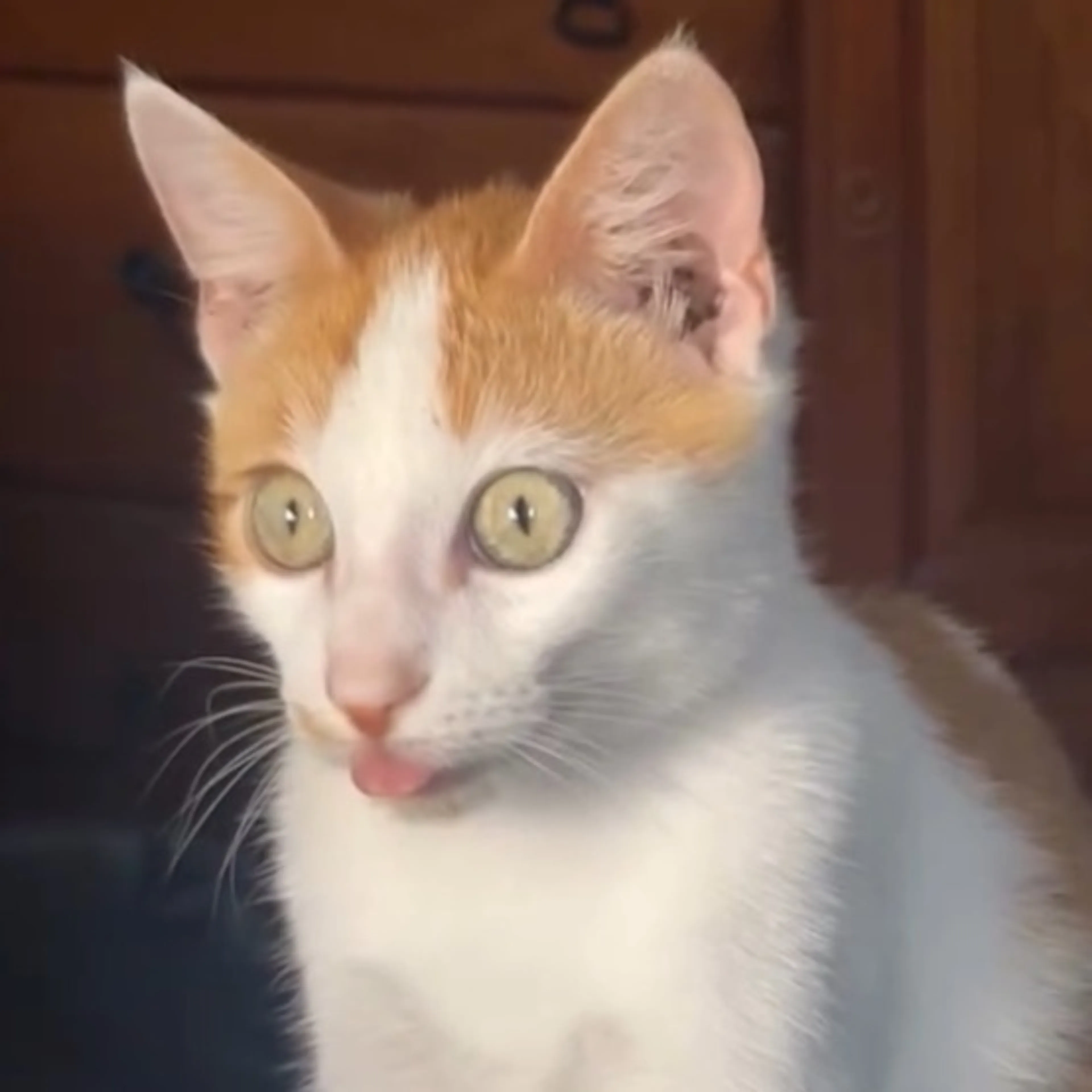 -0