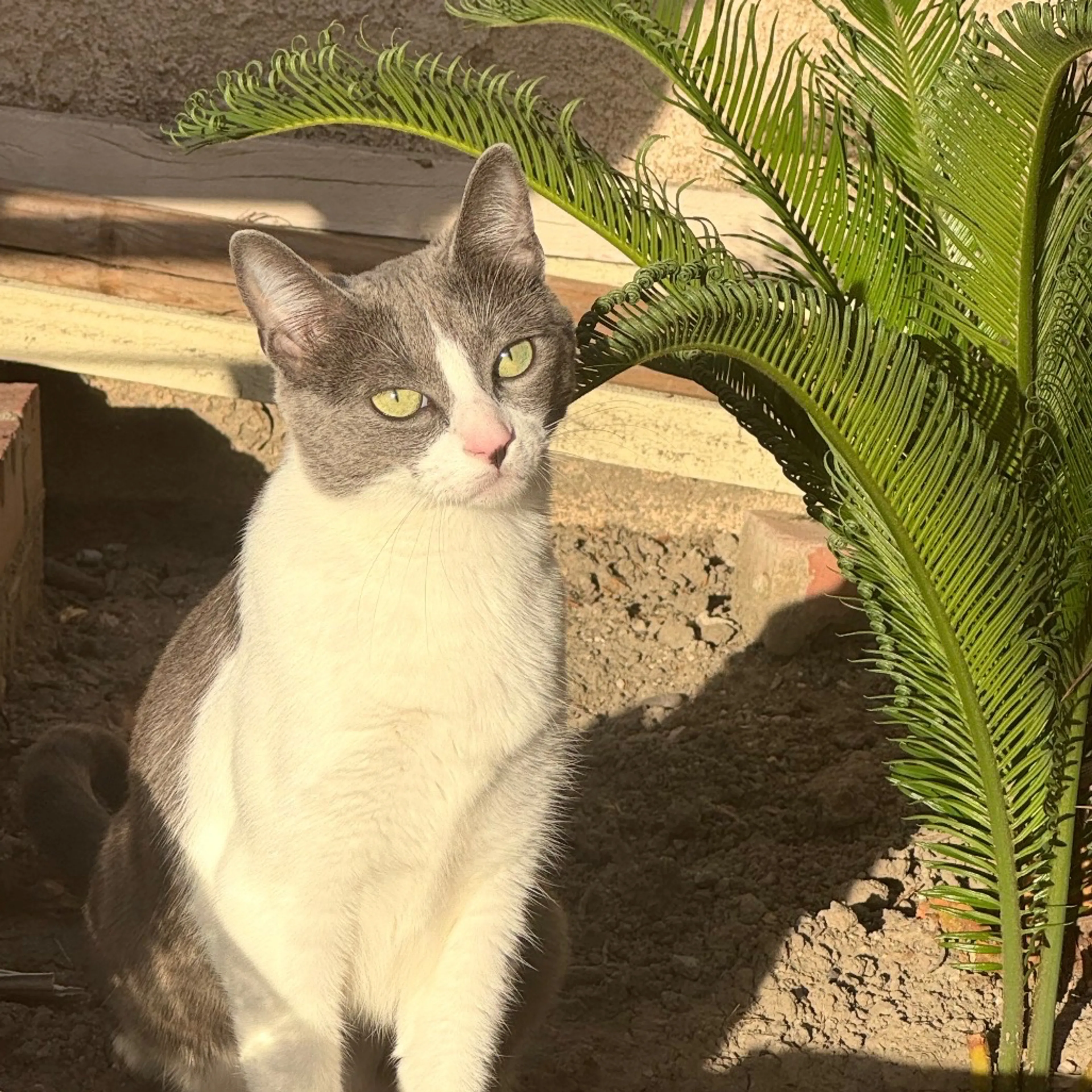 -2