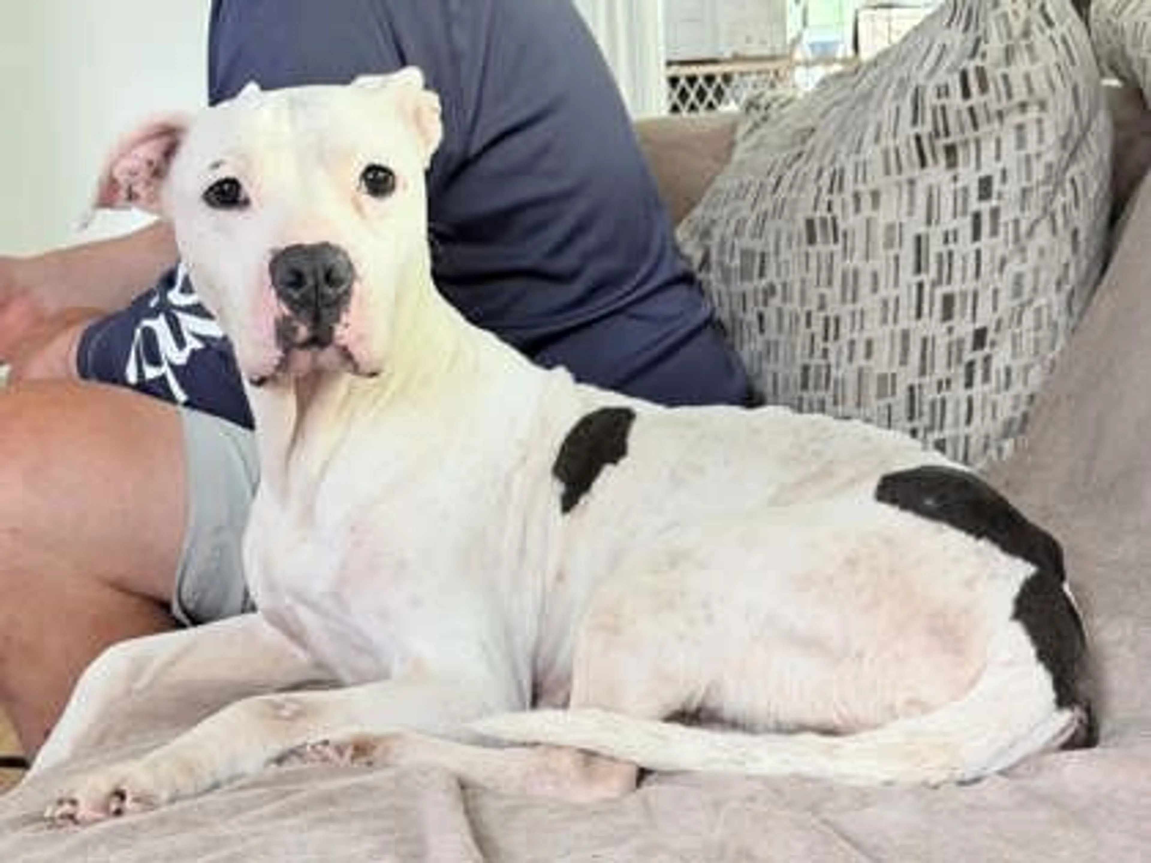 cdn image