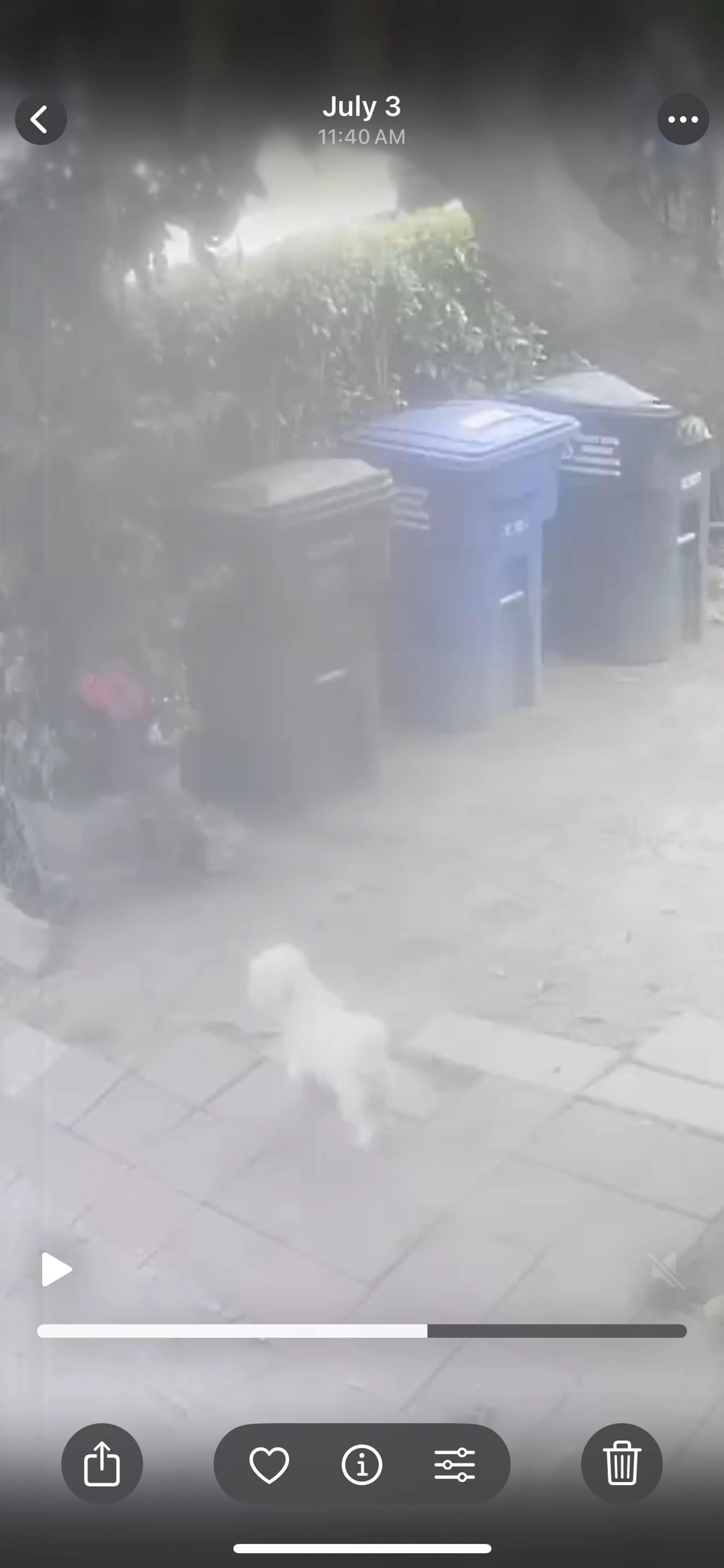 -1