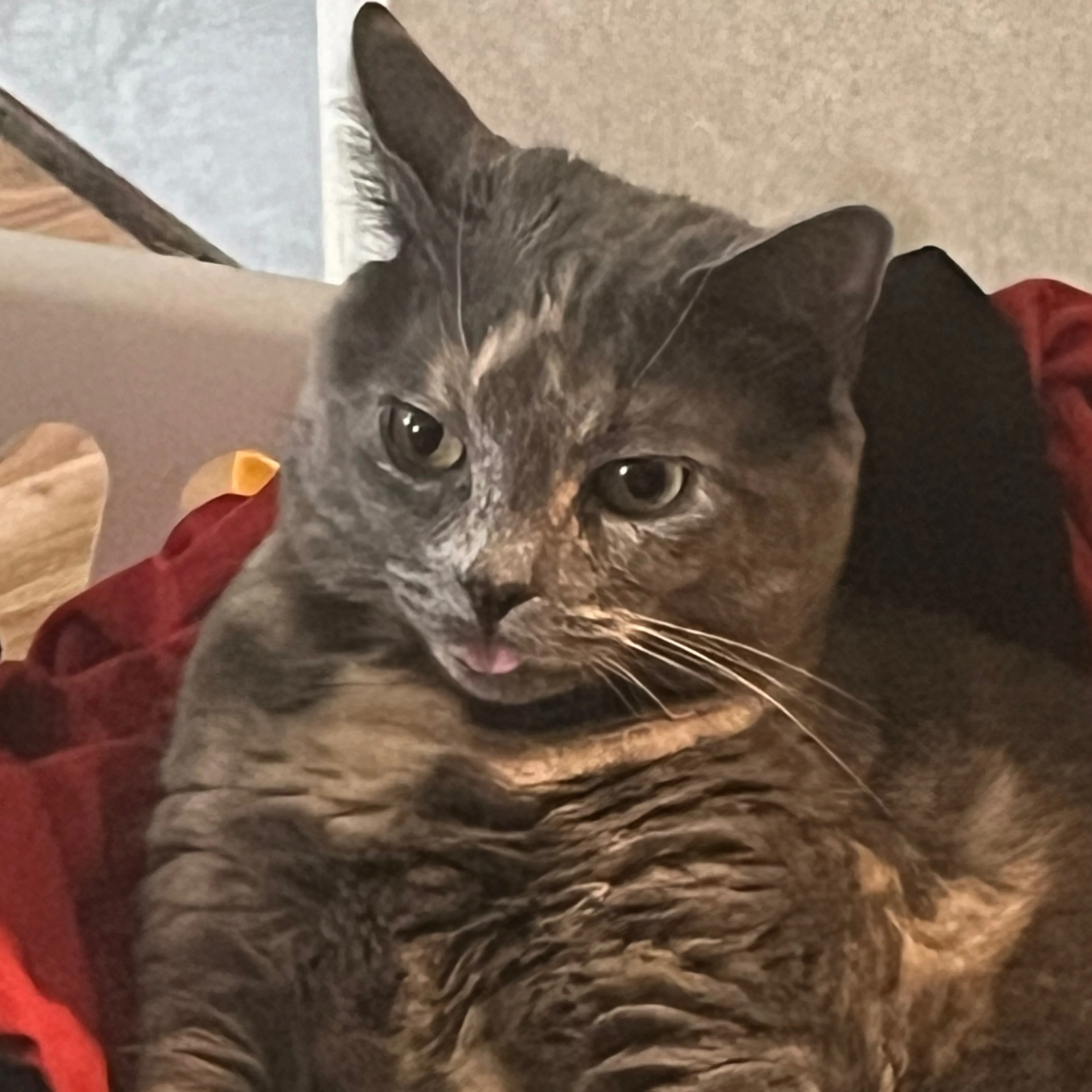 -2