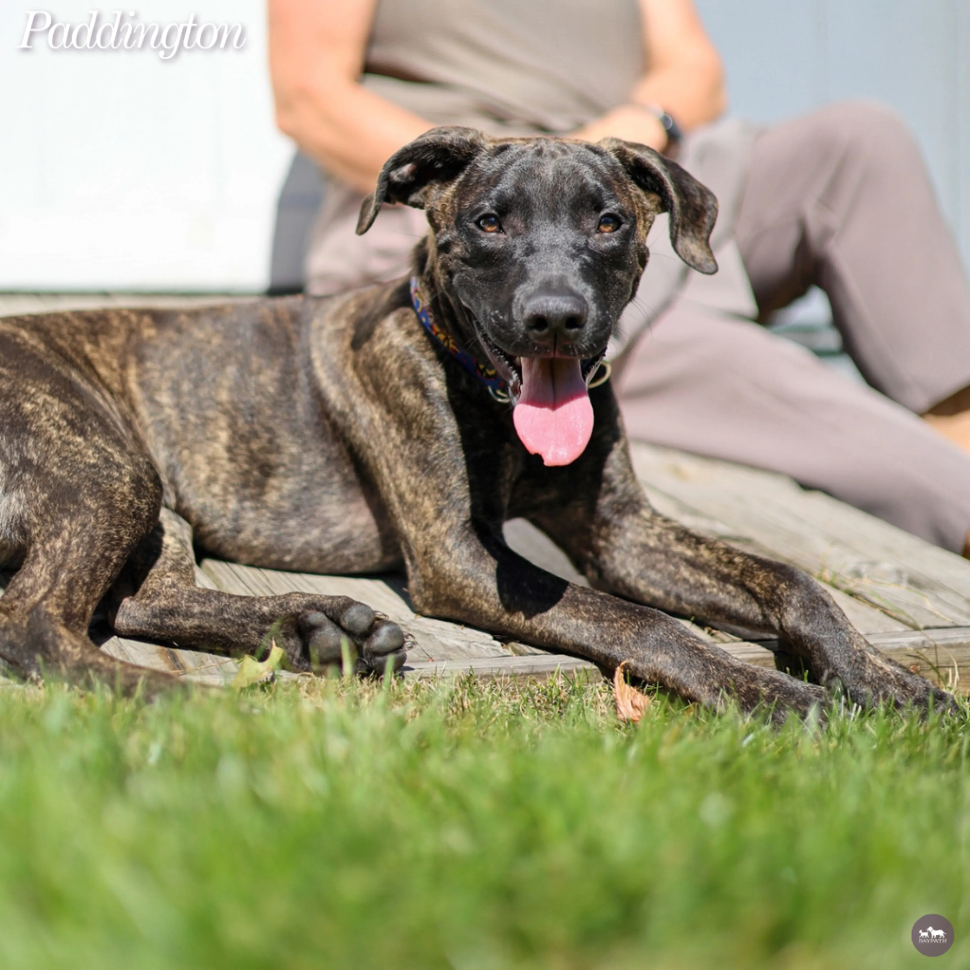 cdn image