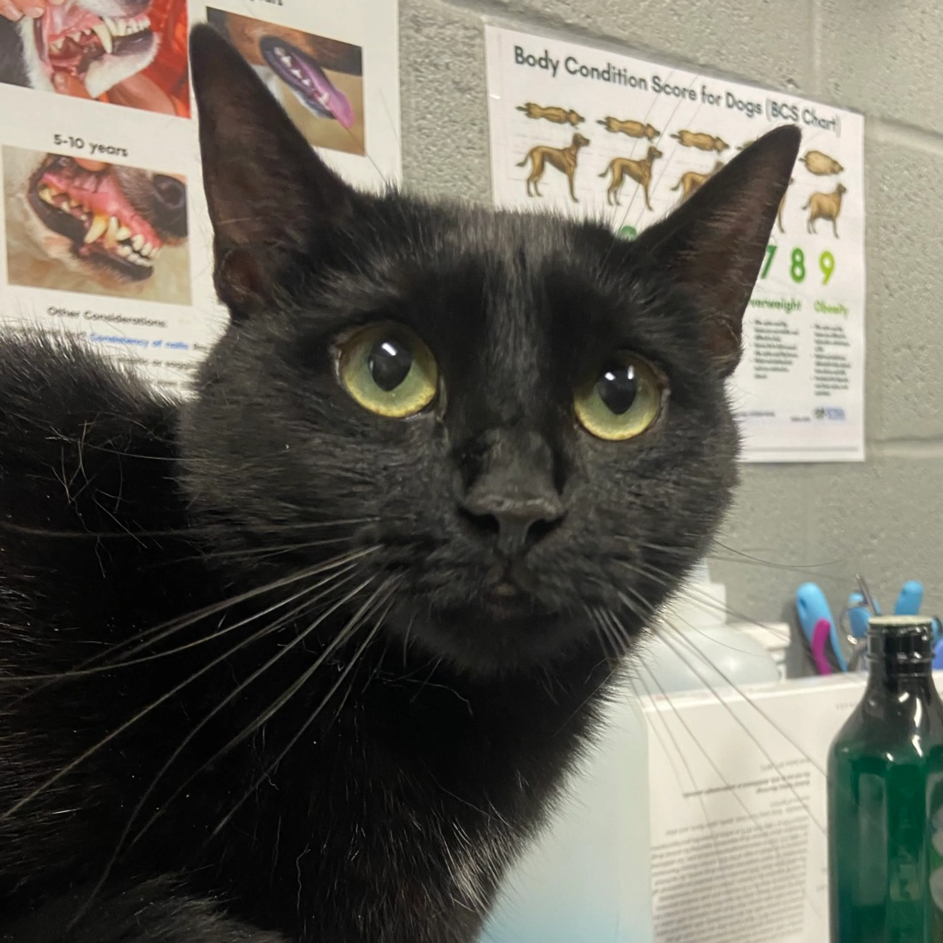 -0