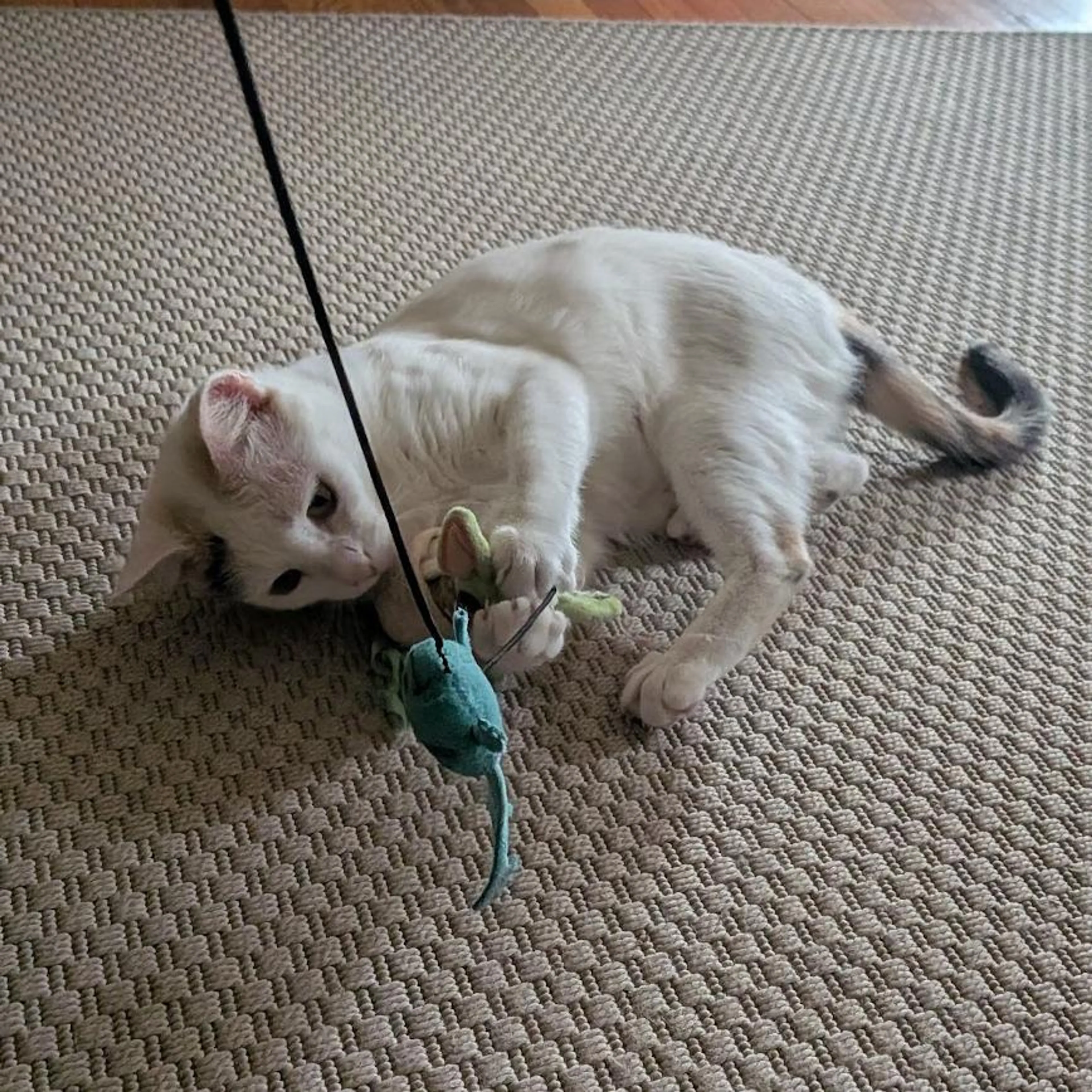 -3