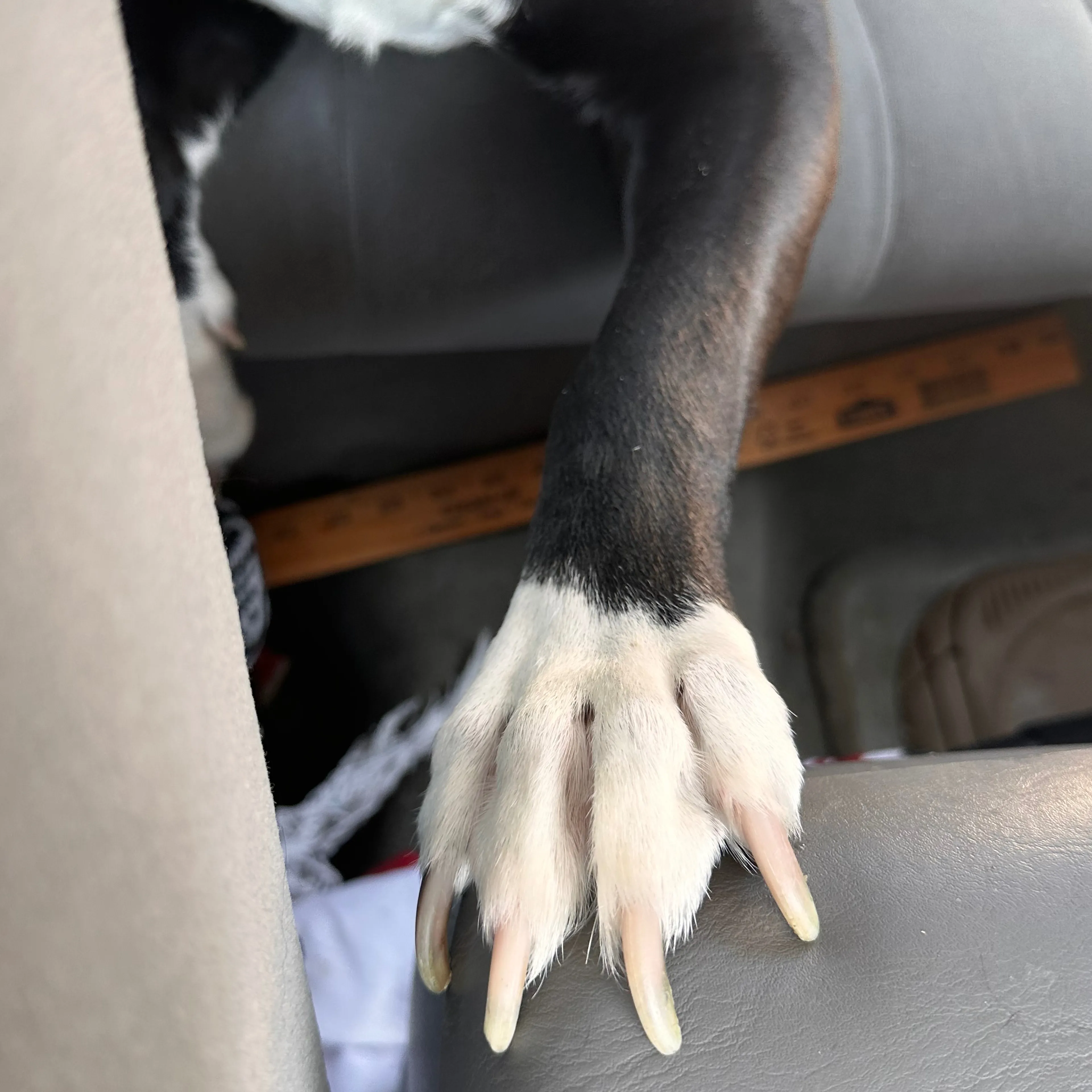 -3
