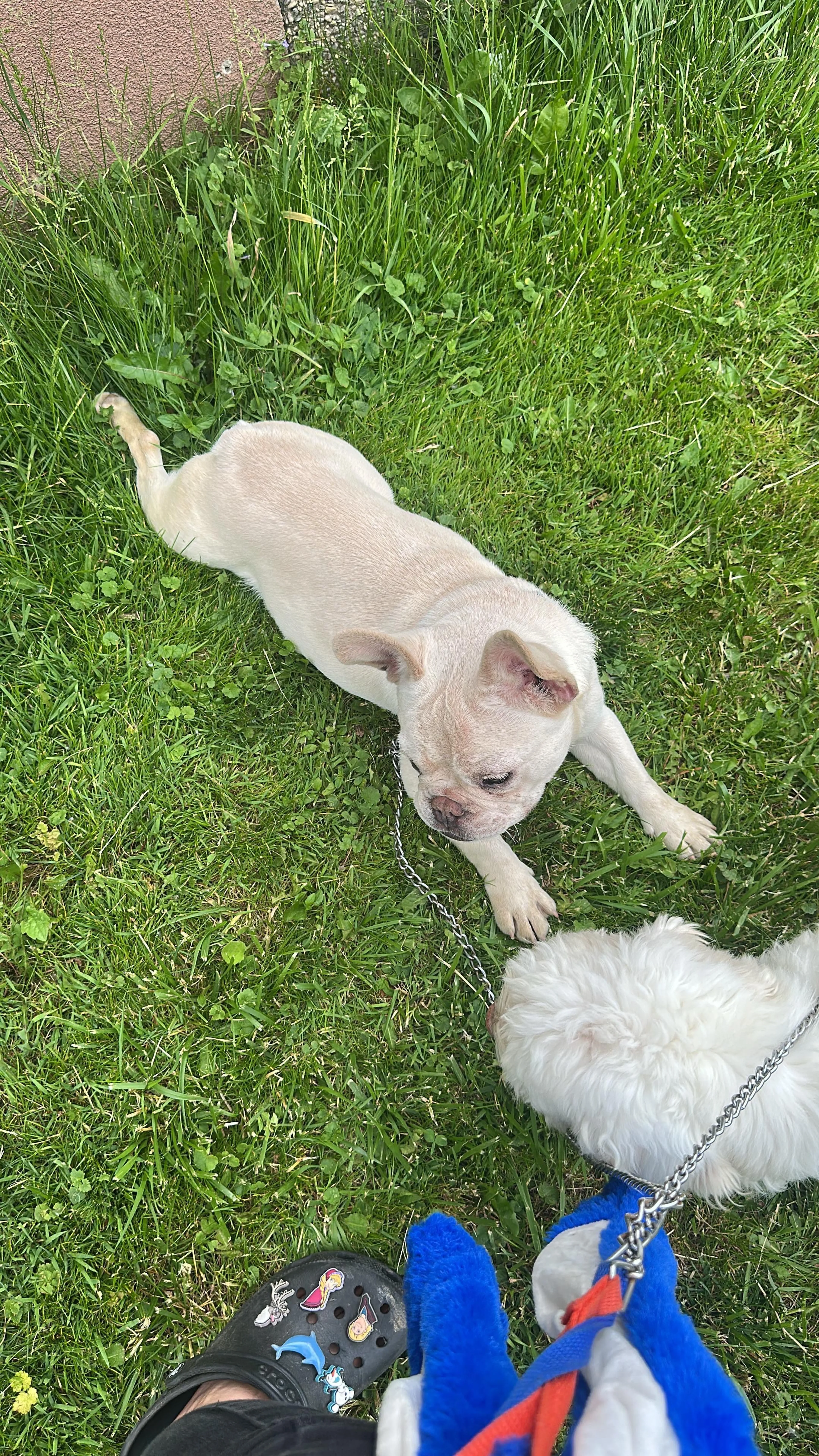 -1