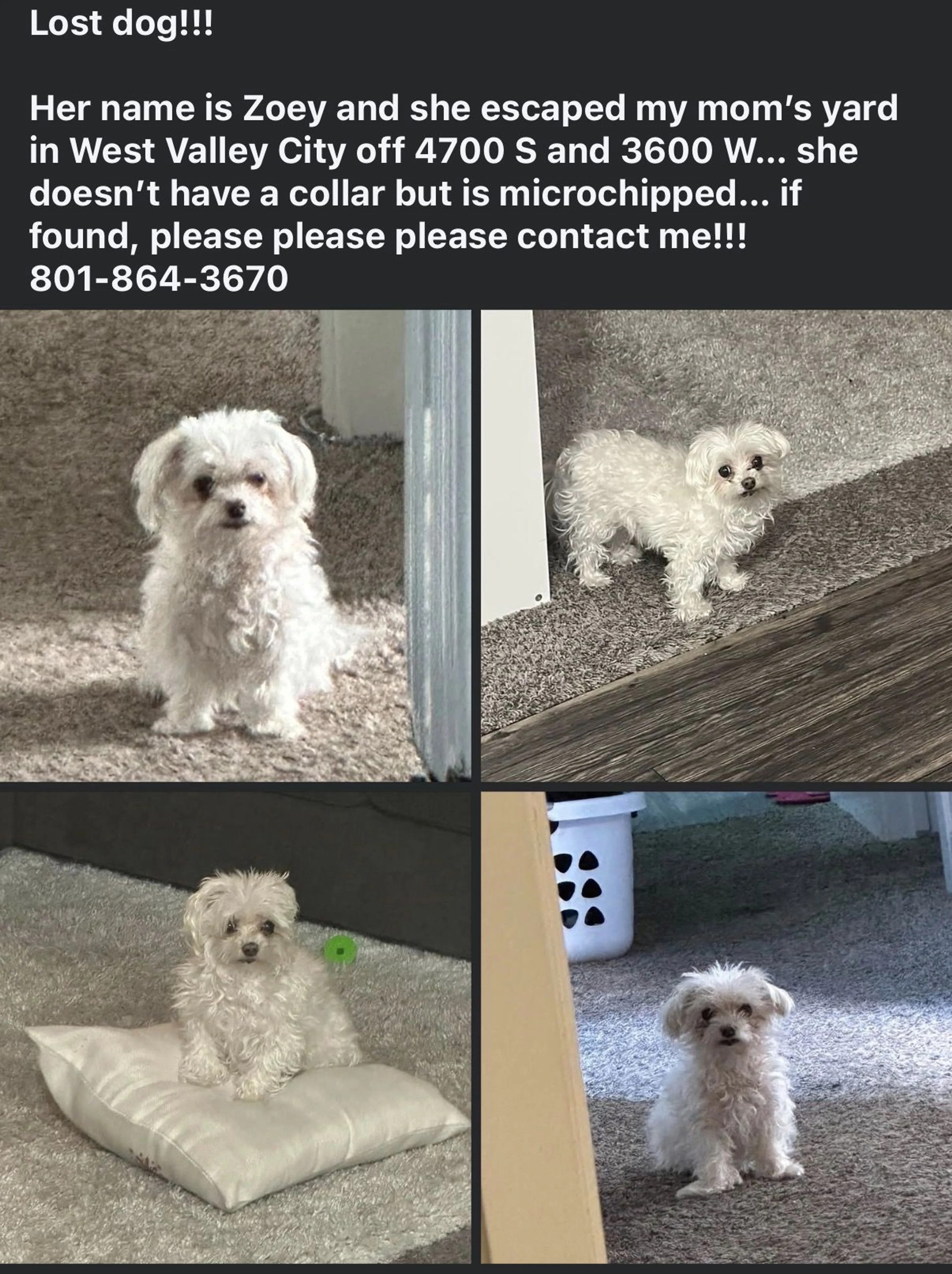 cdn image