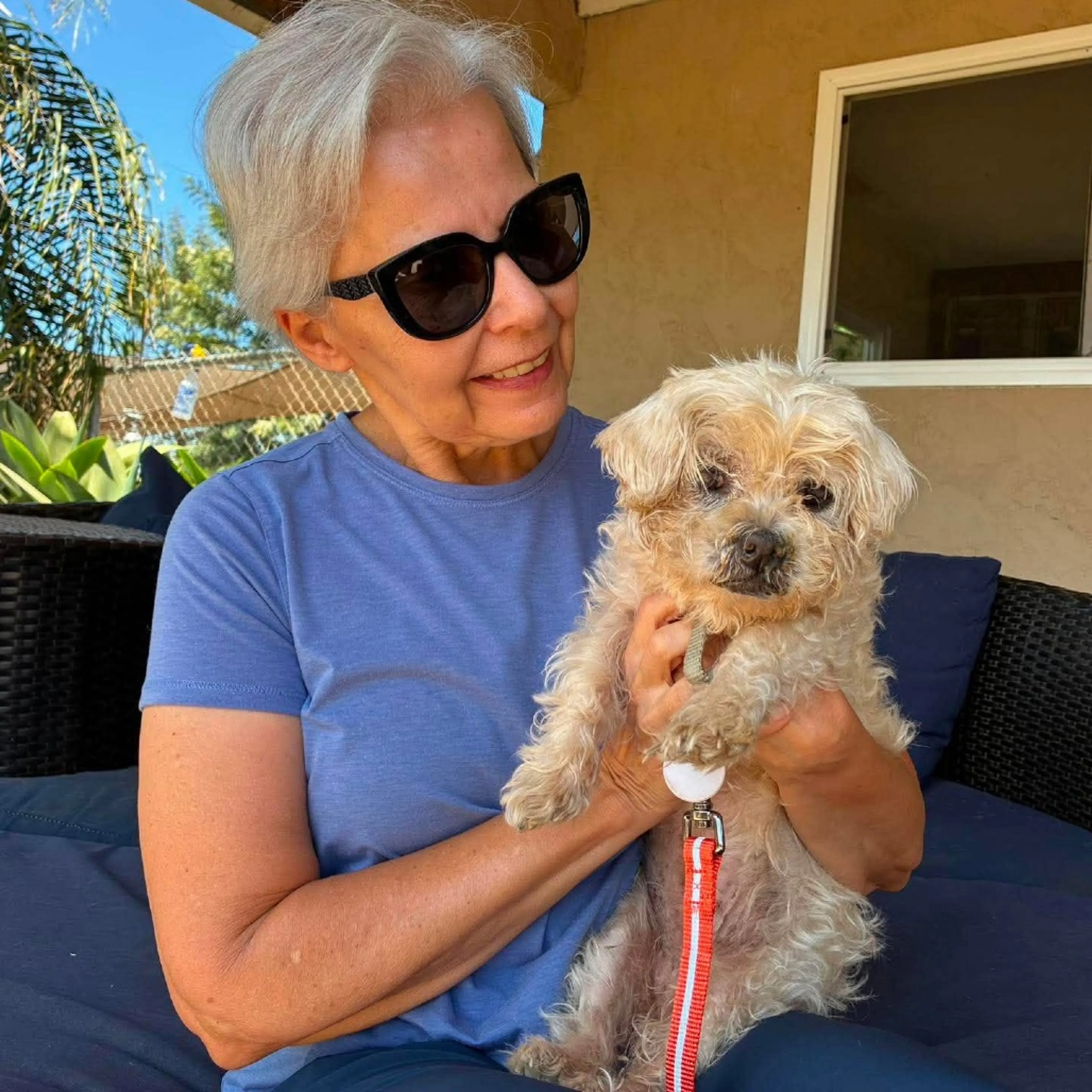 cdn image
