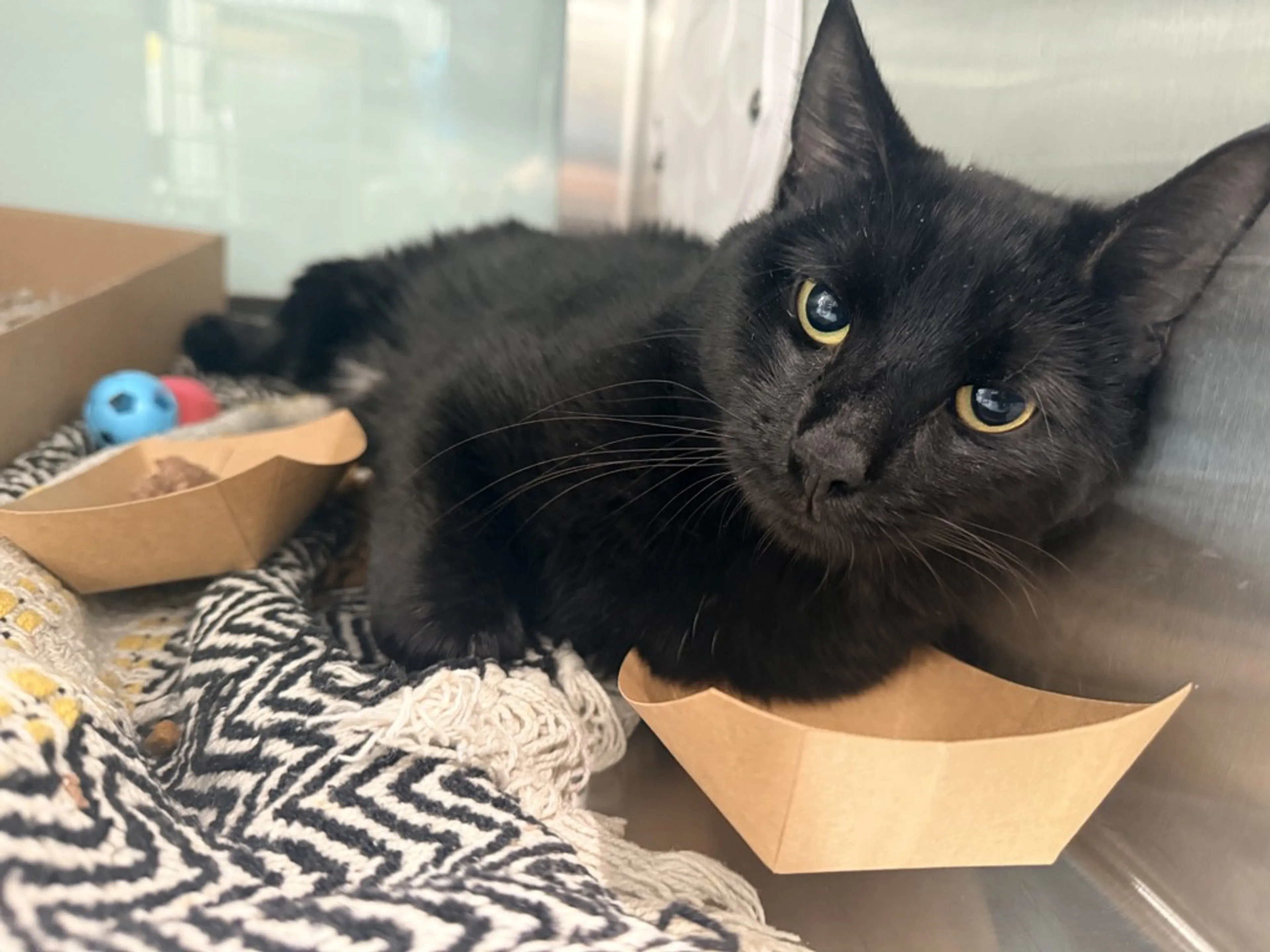 -0