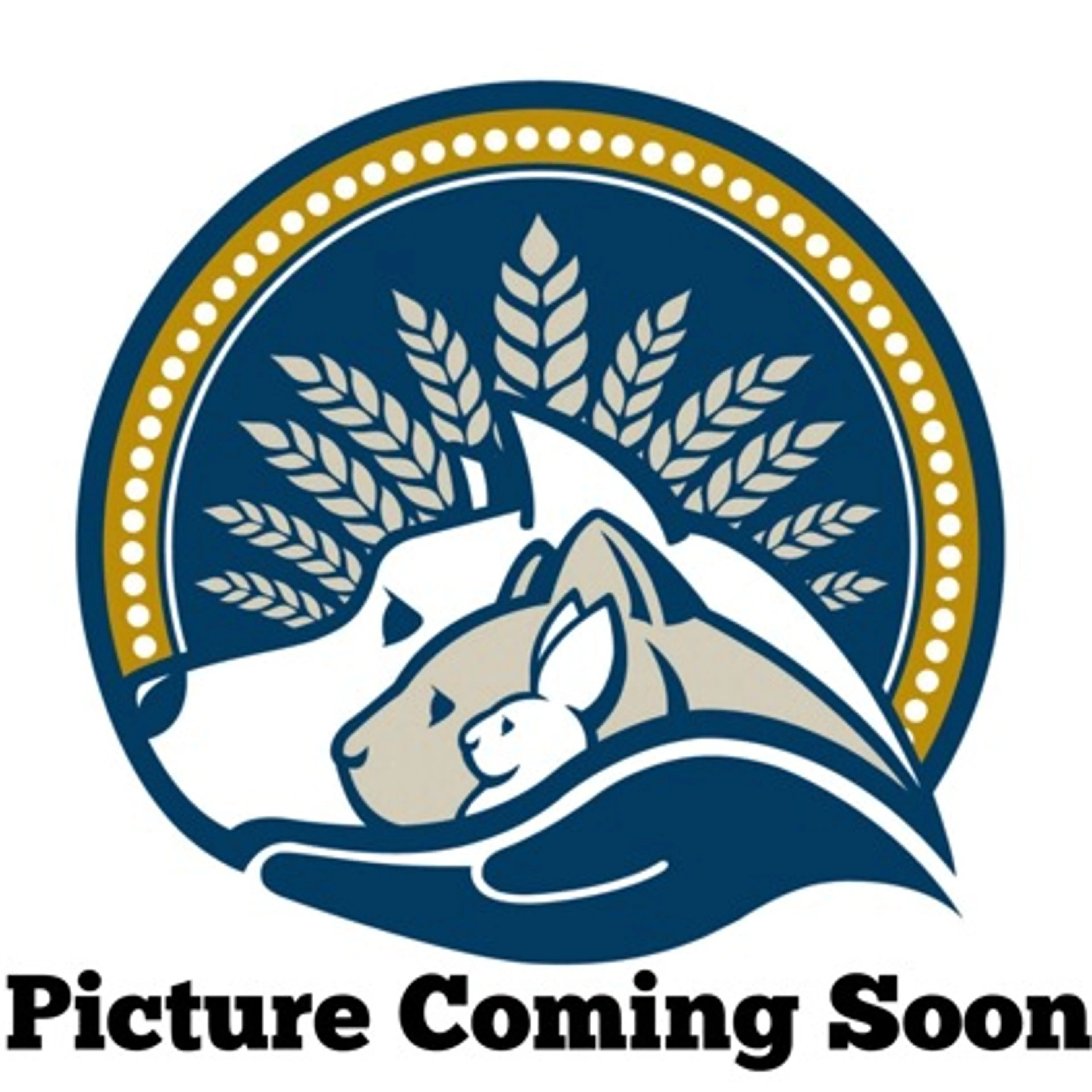 cdn image