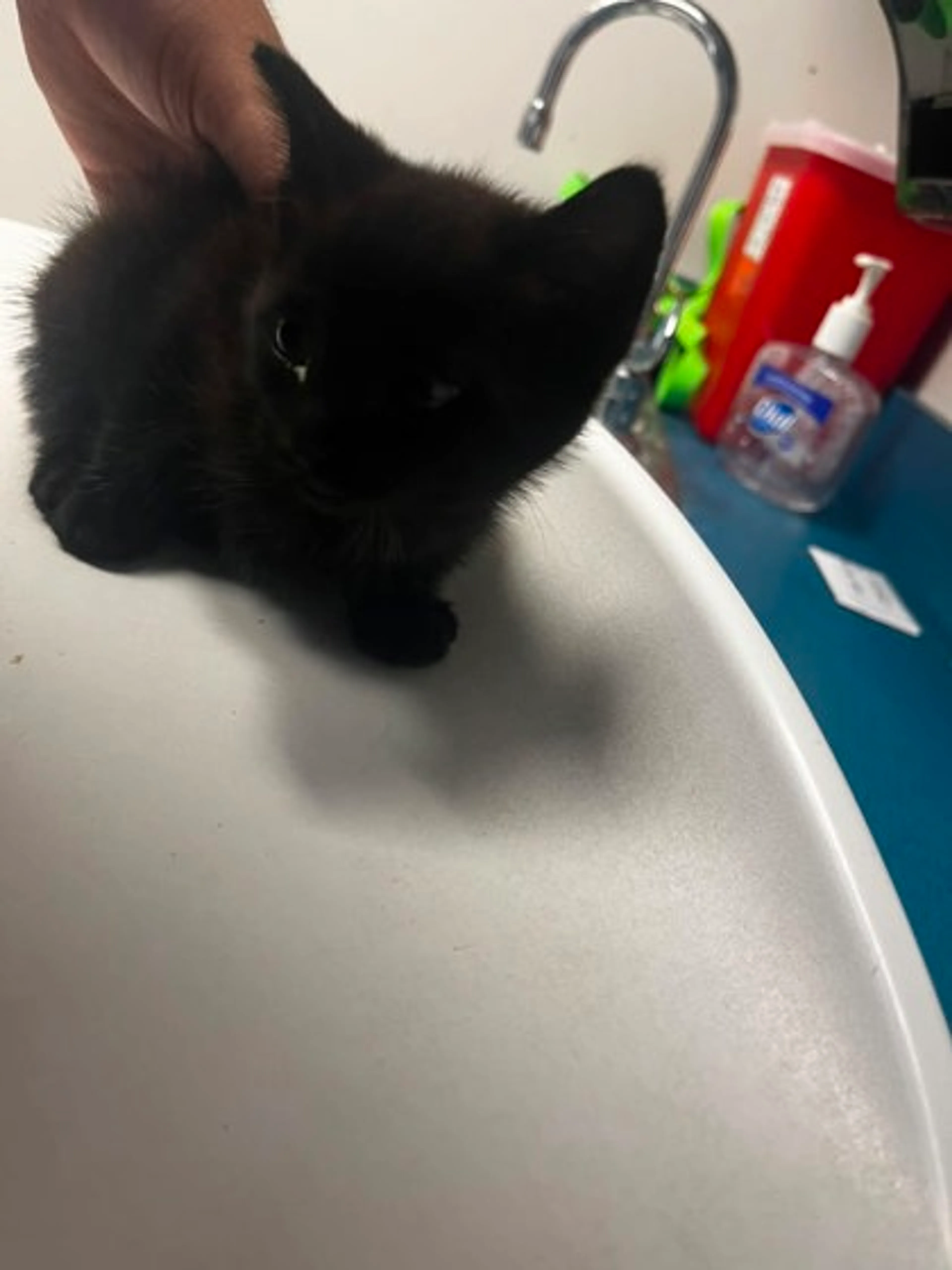 cdn image