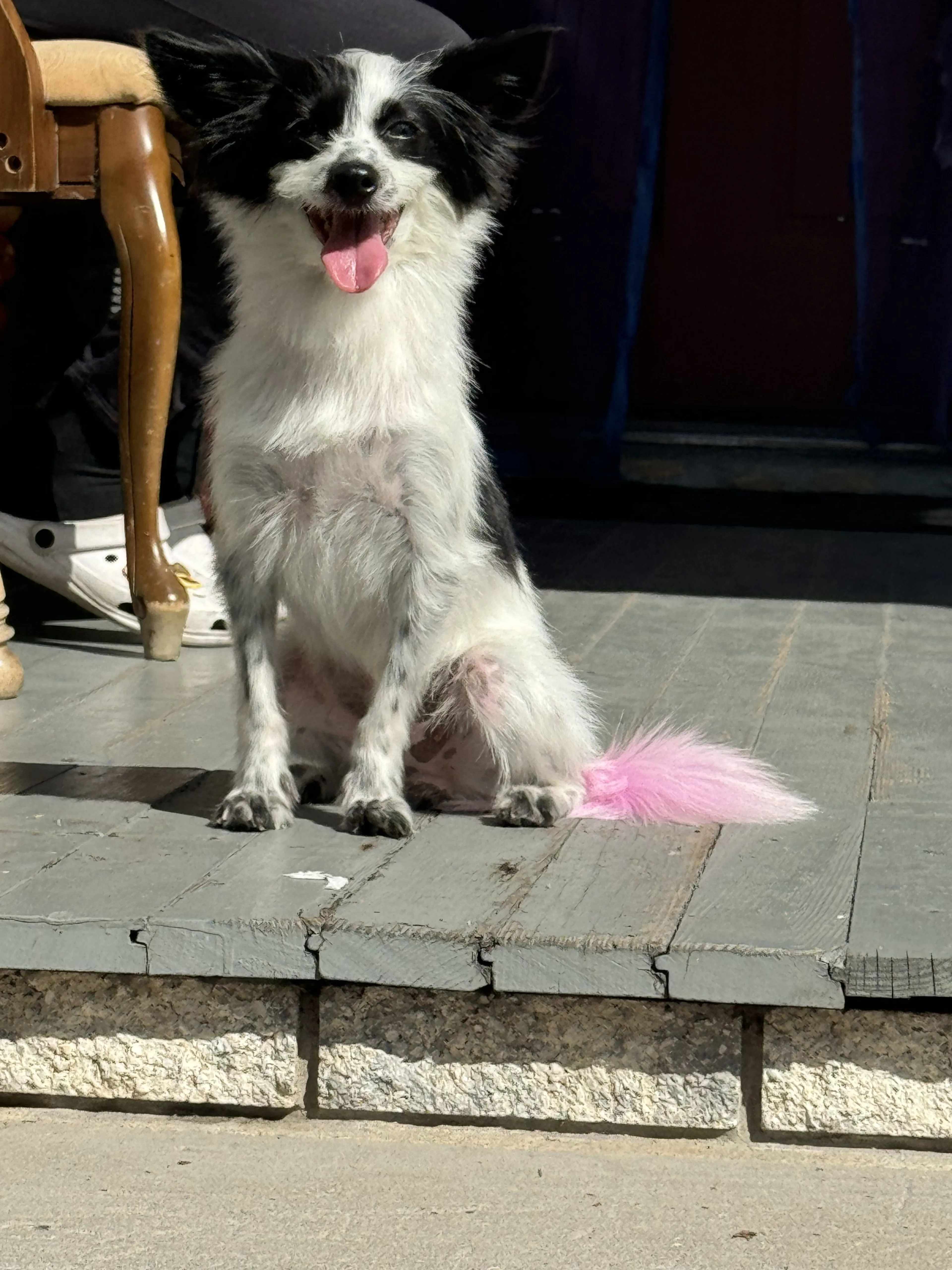 cdn image