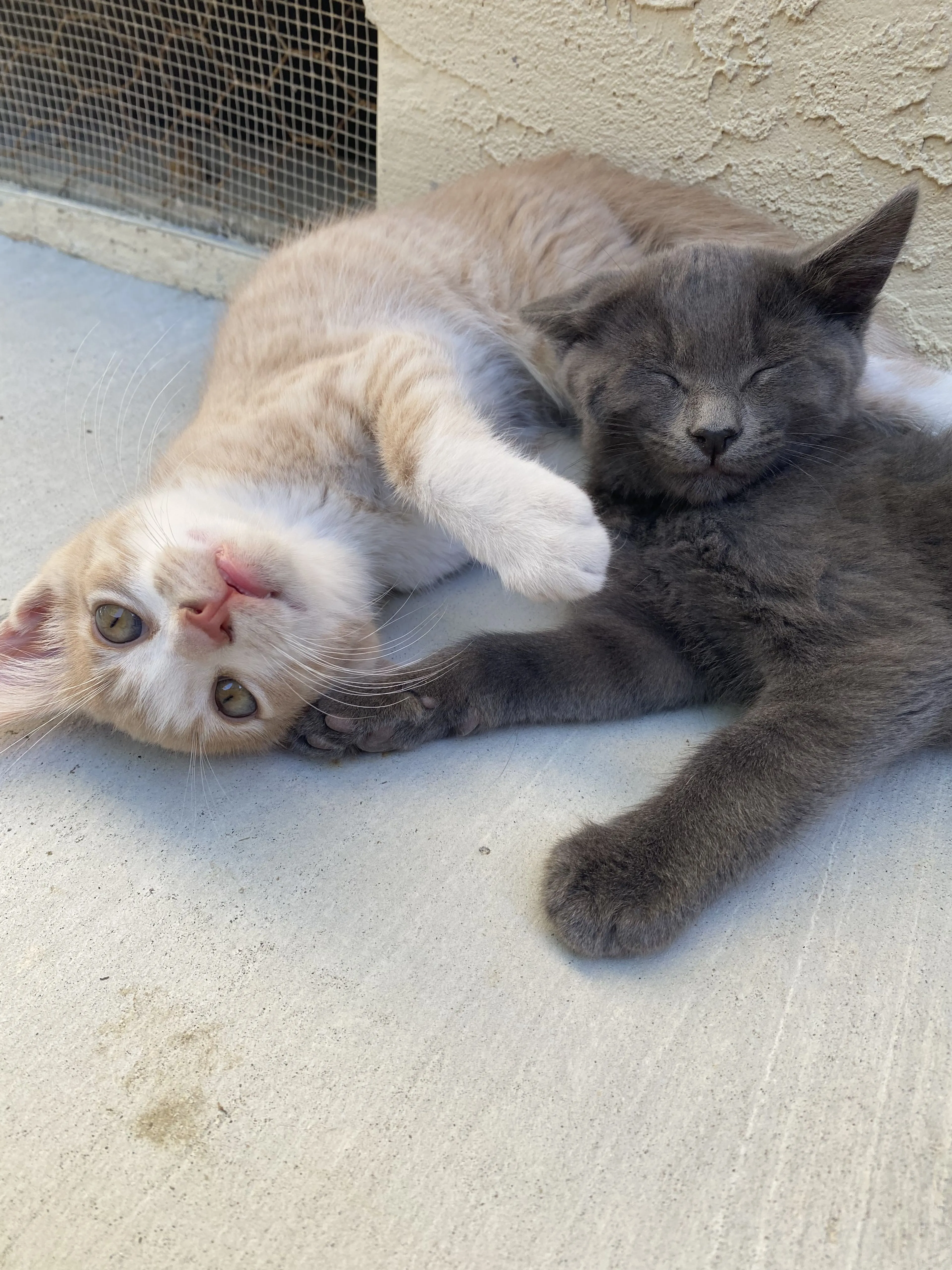 -2