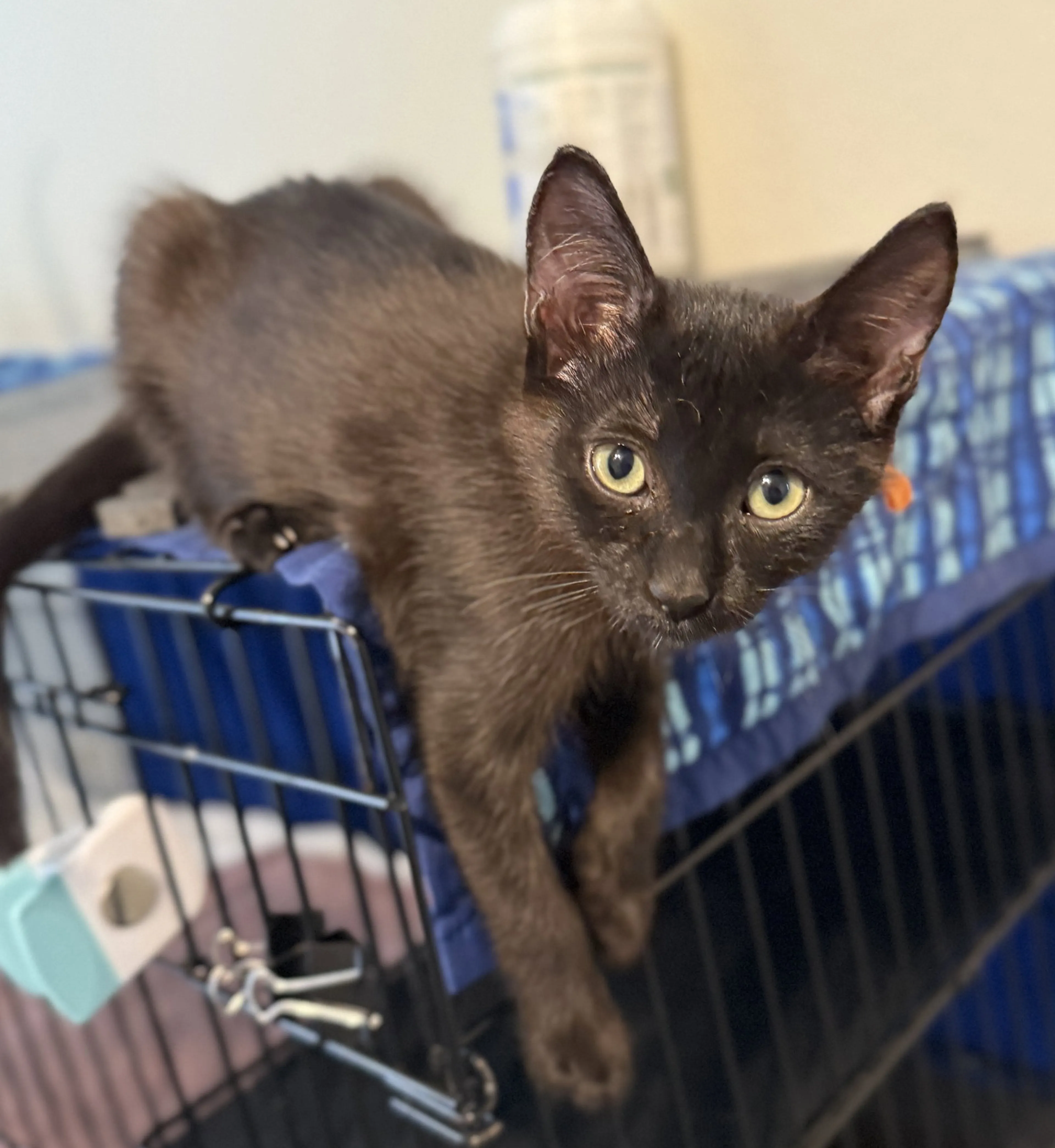 -0