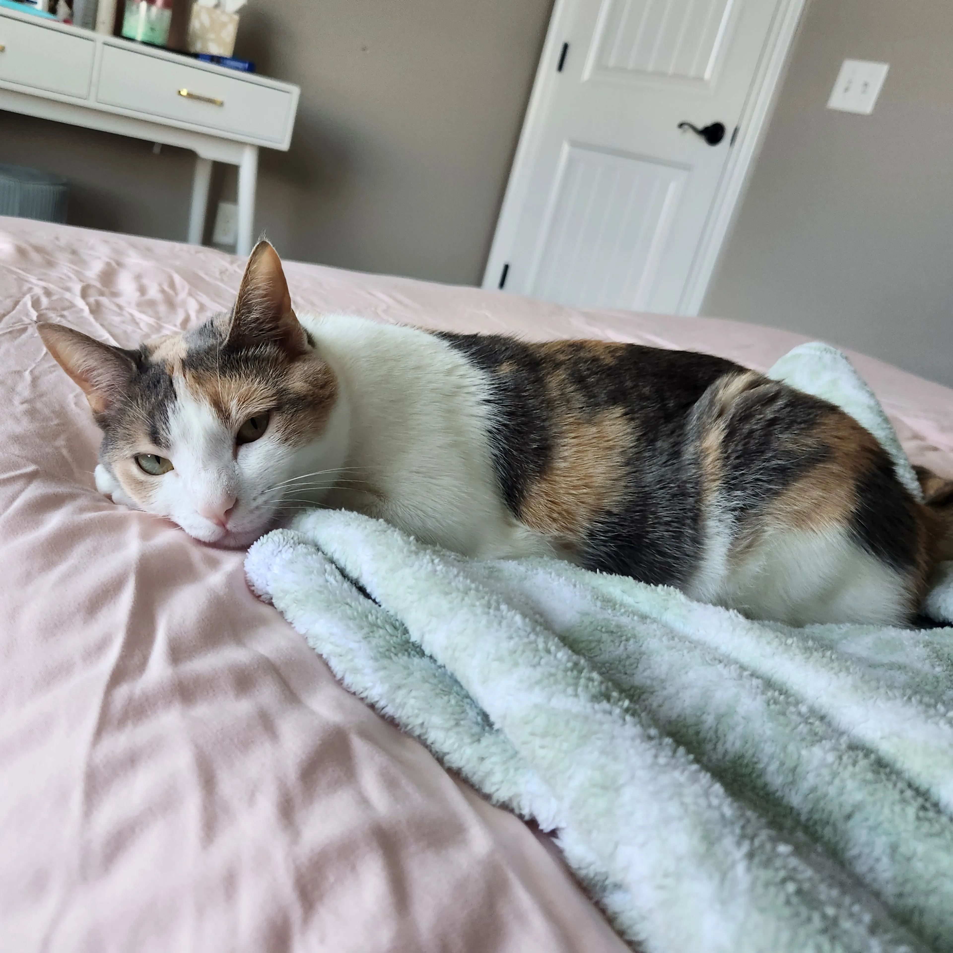 -1
