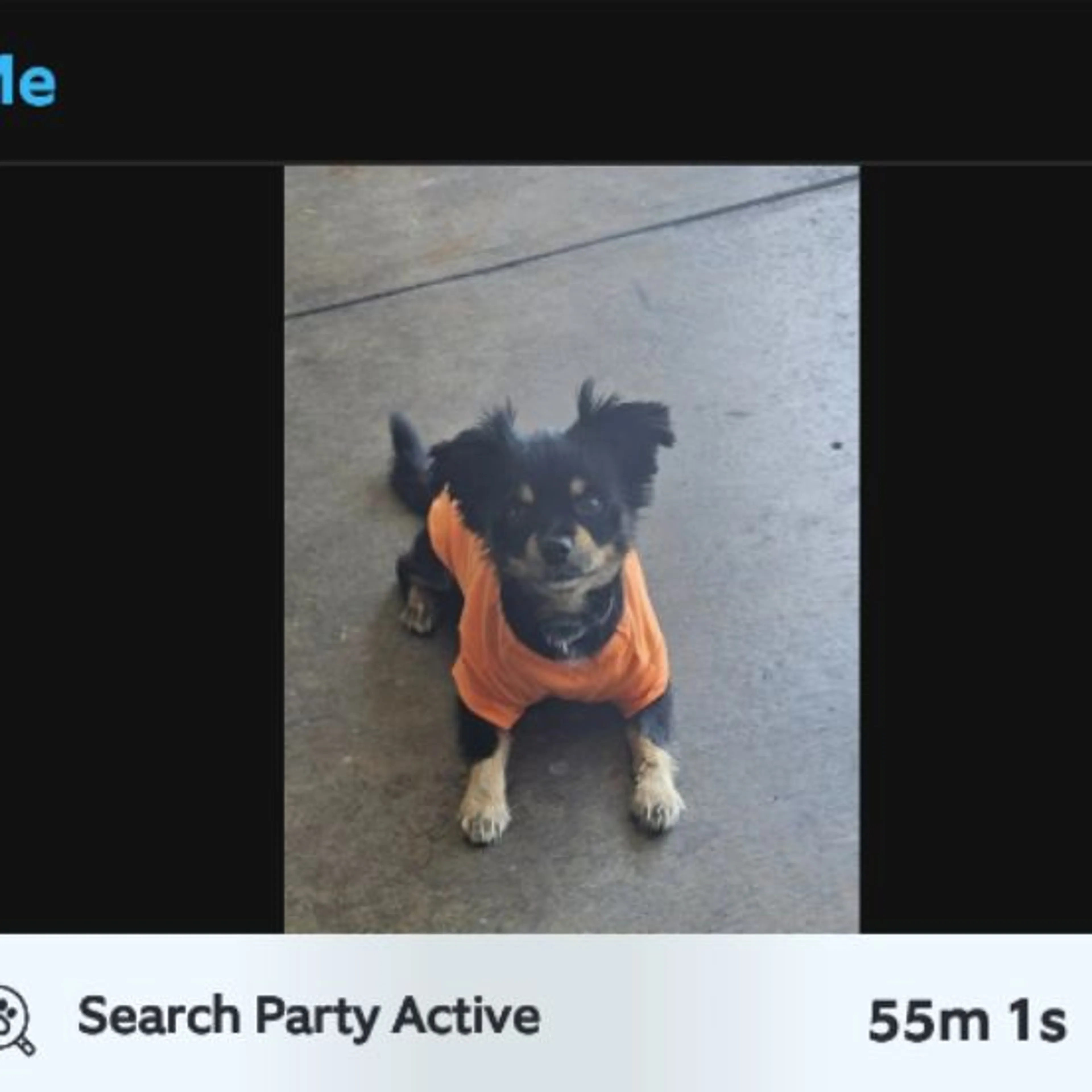 cdn image