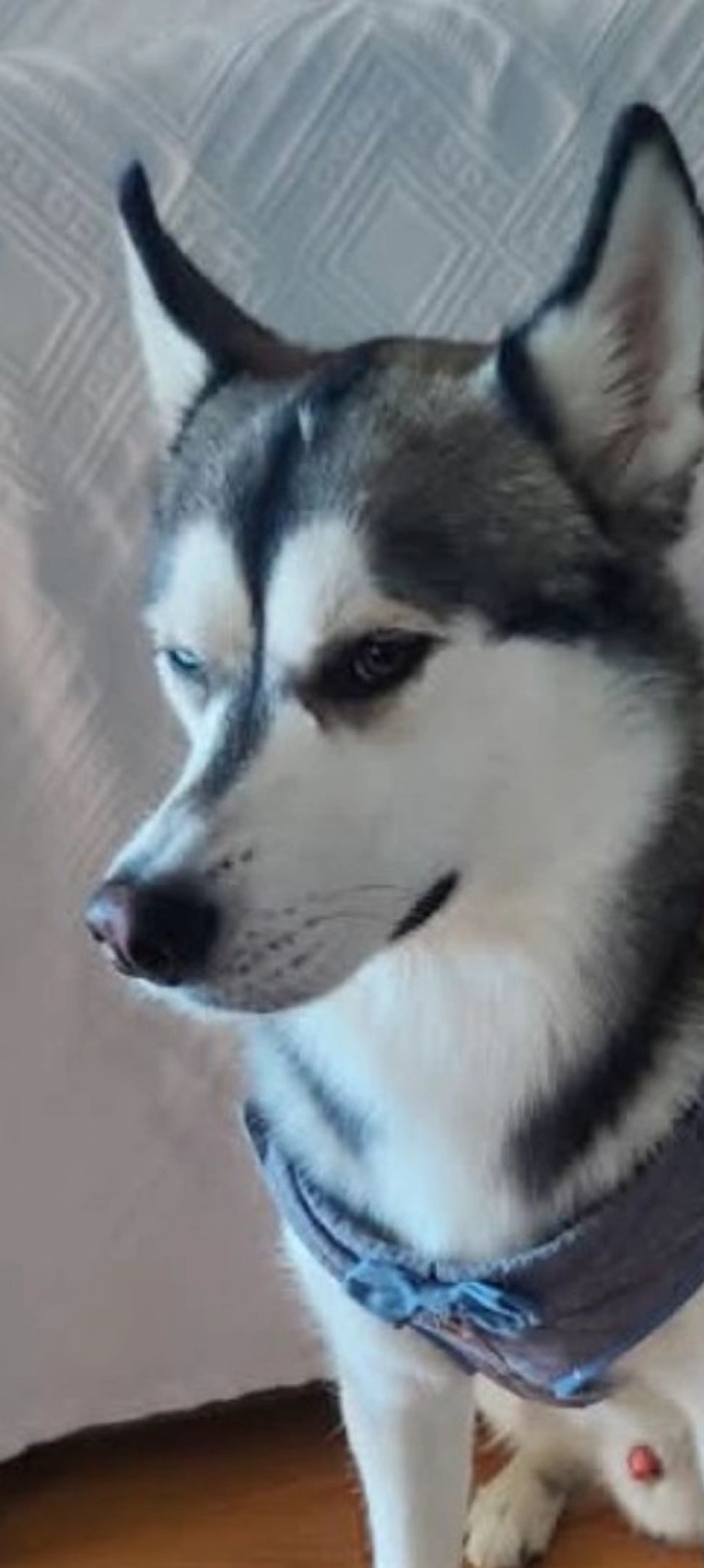 -0