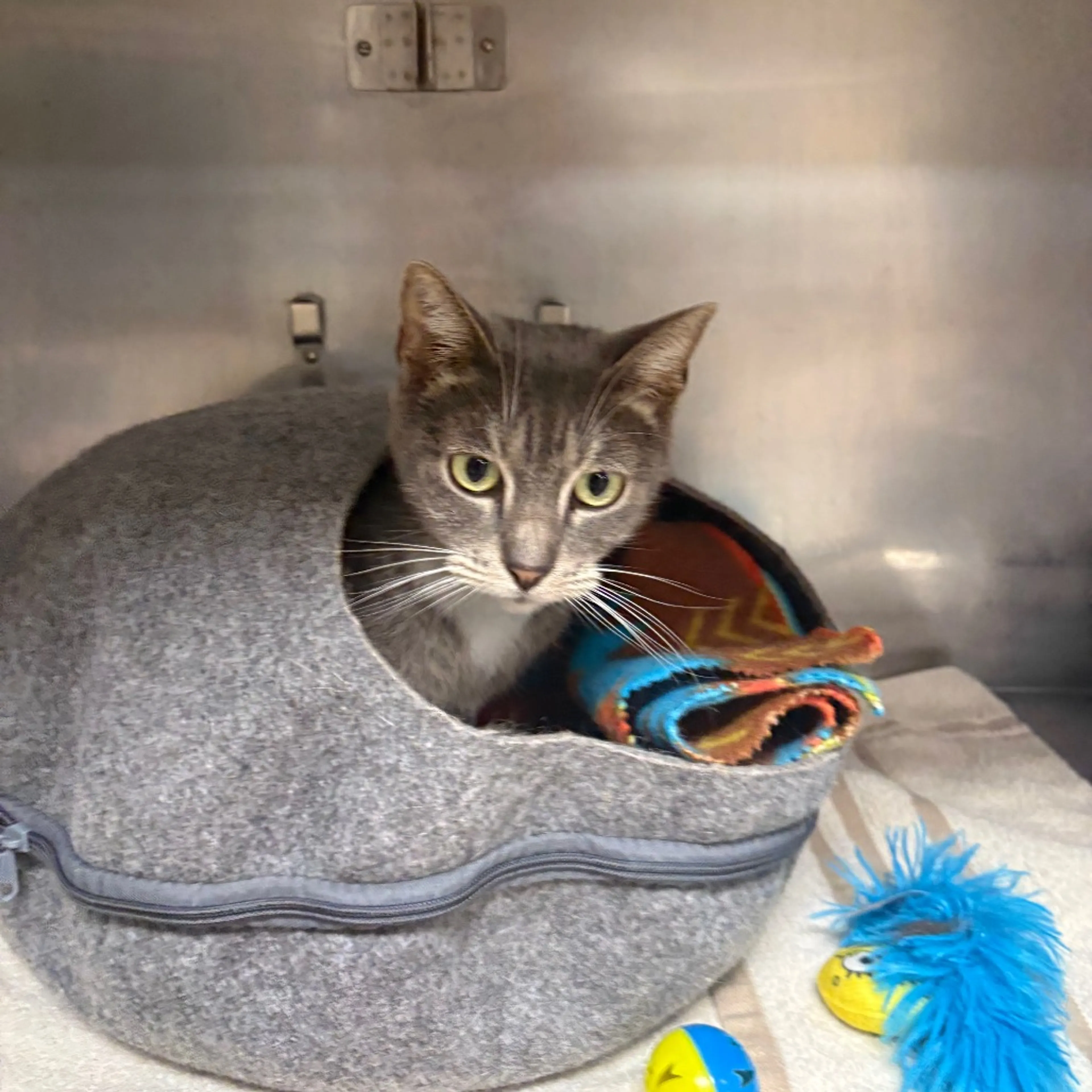 -2