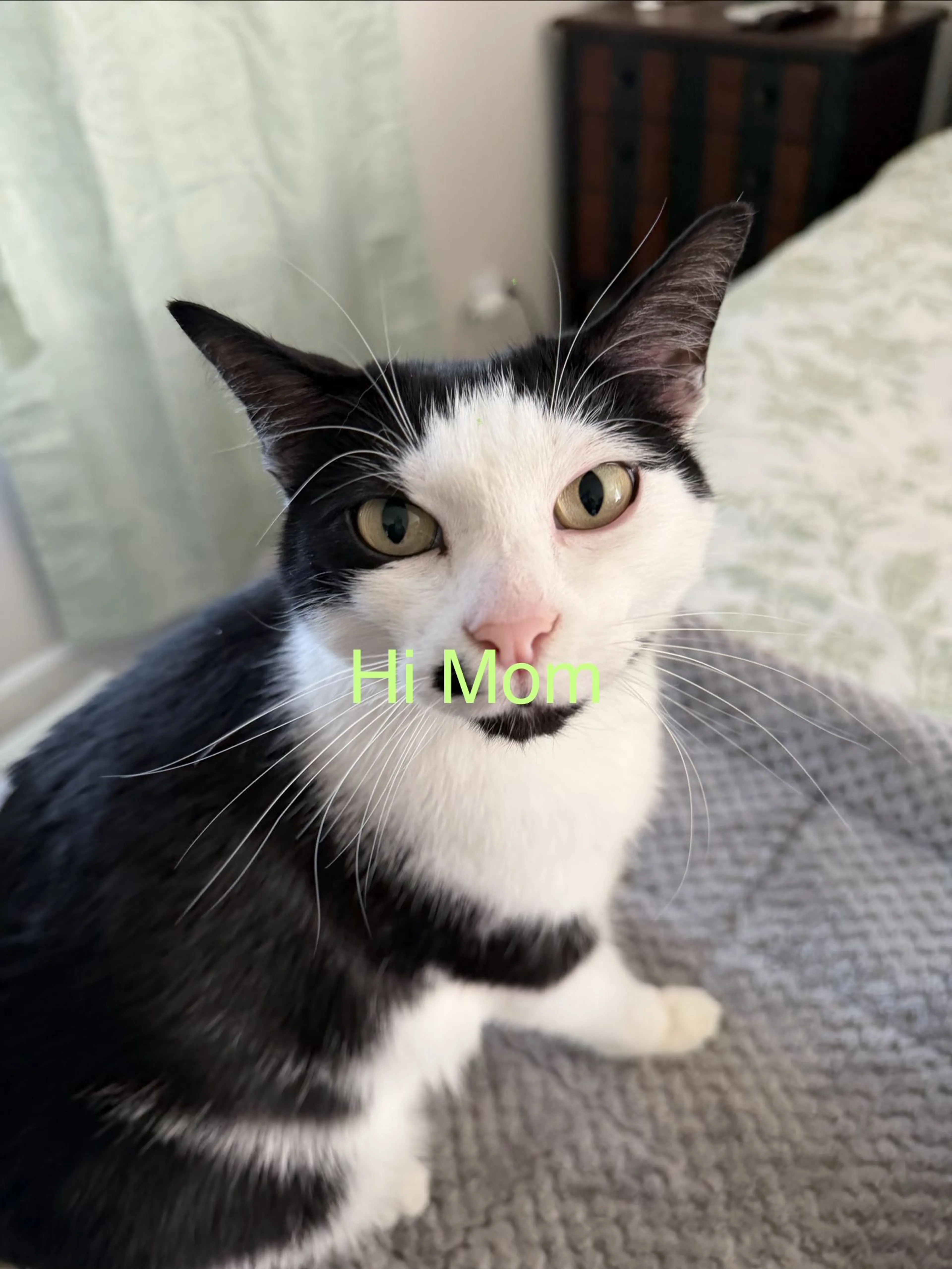 cdn image