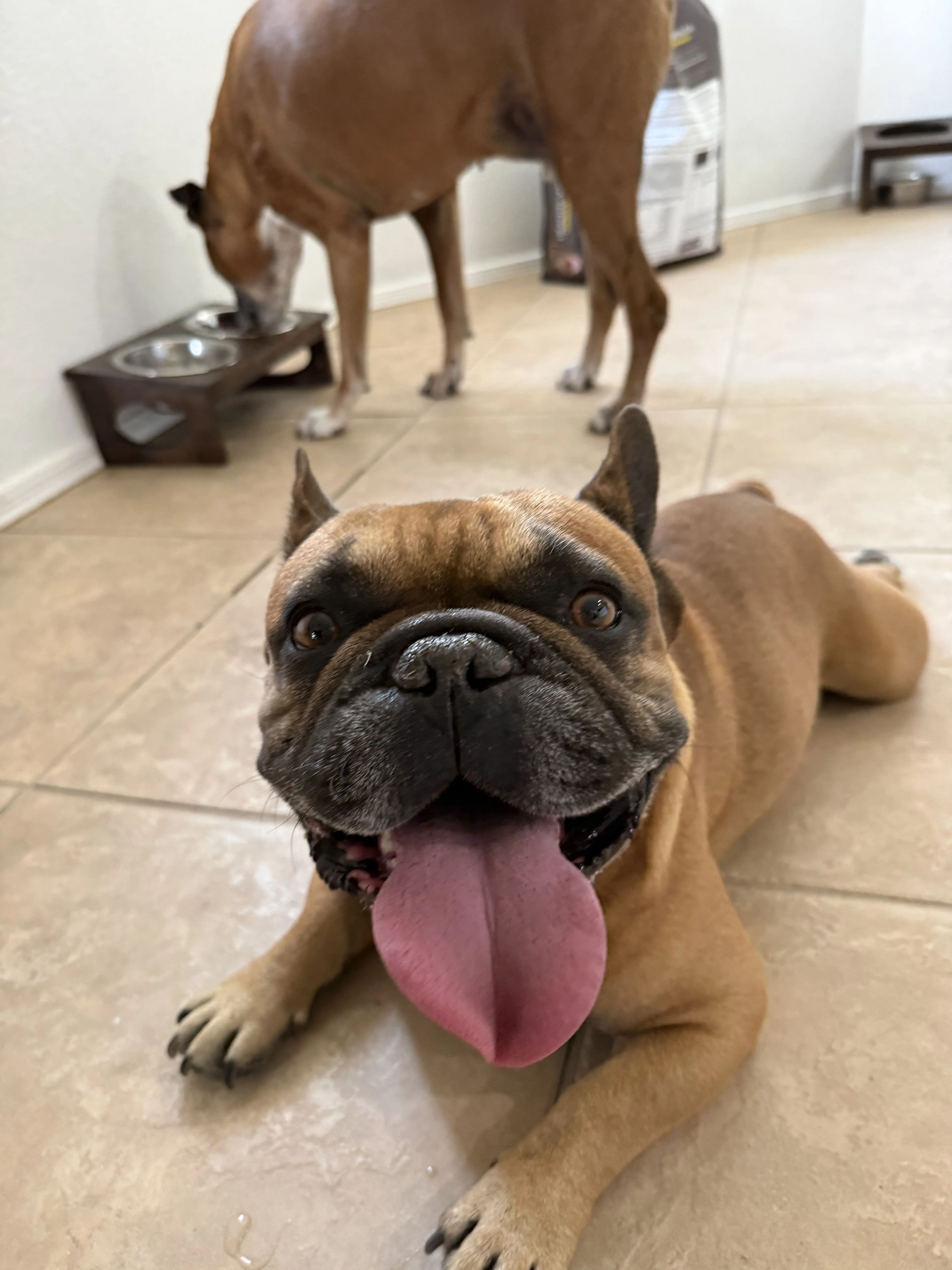 -2