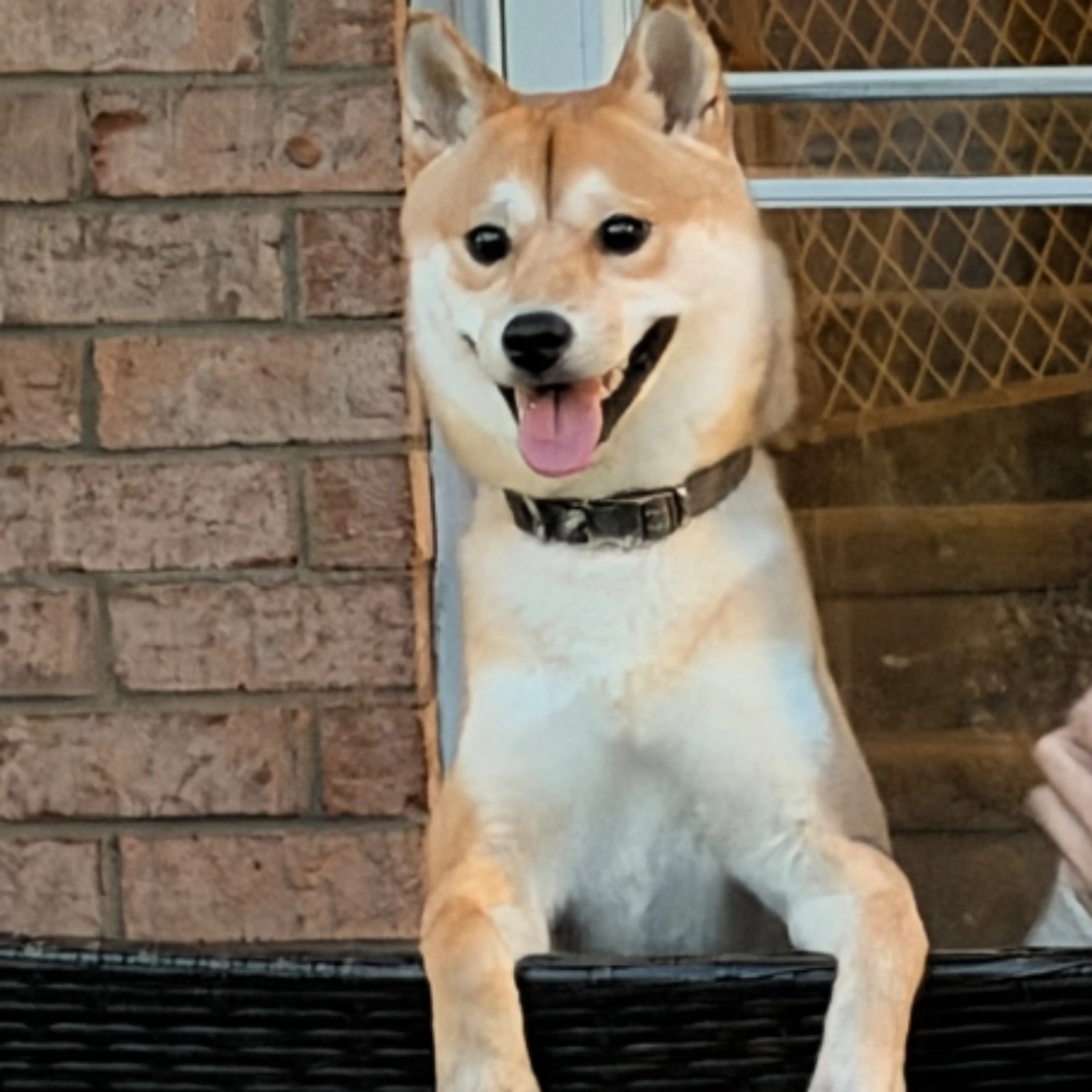-0