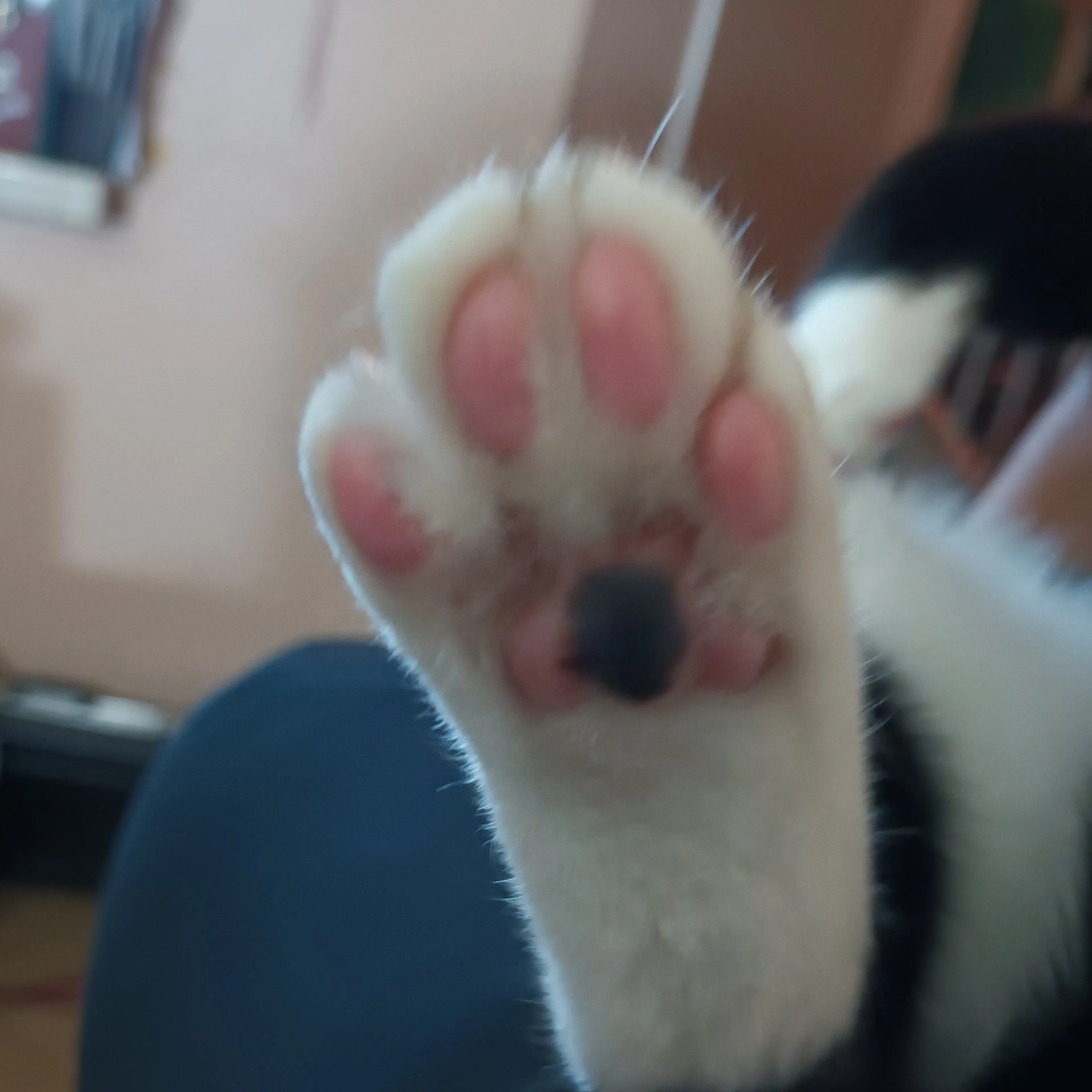 -3