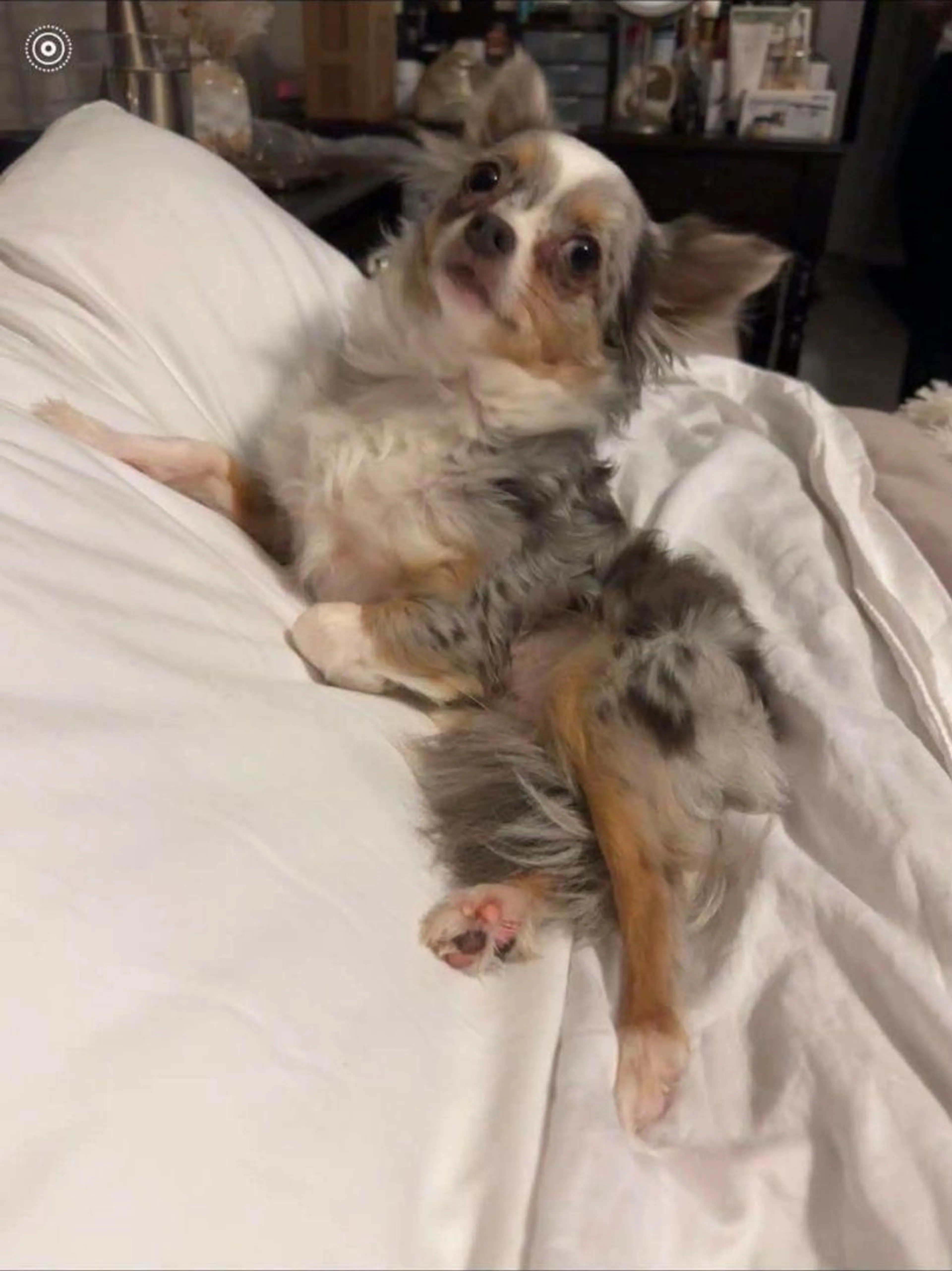 cdn image