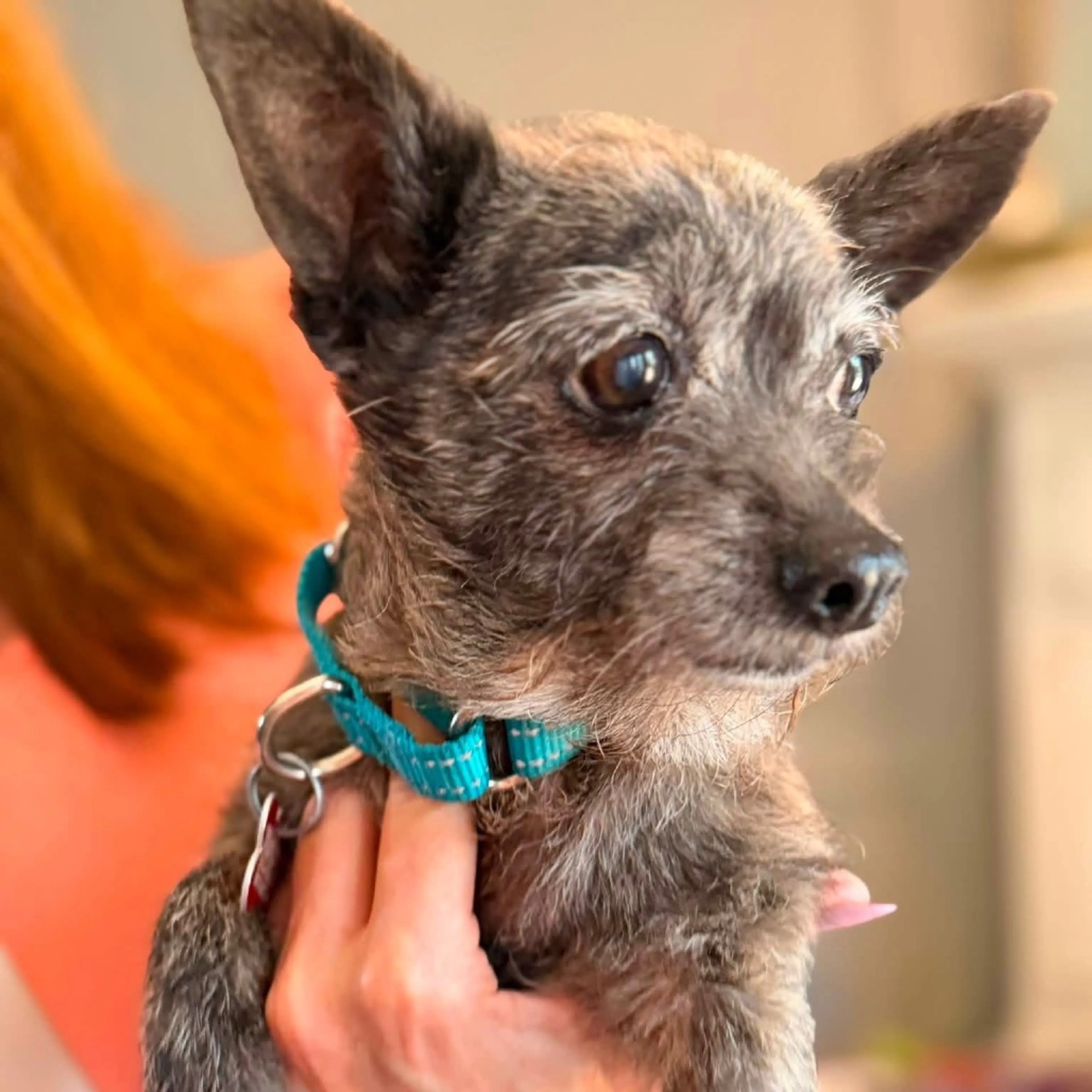 -23