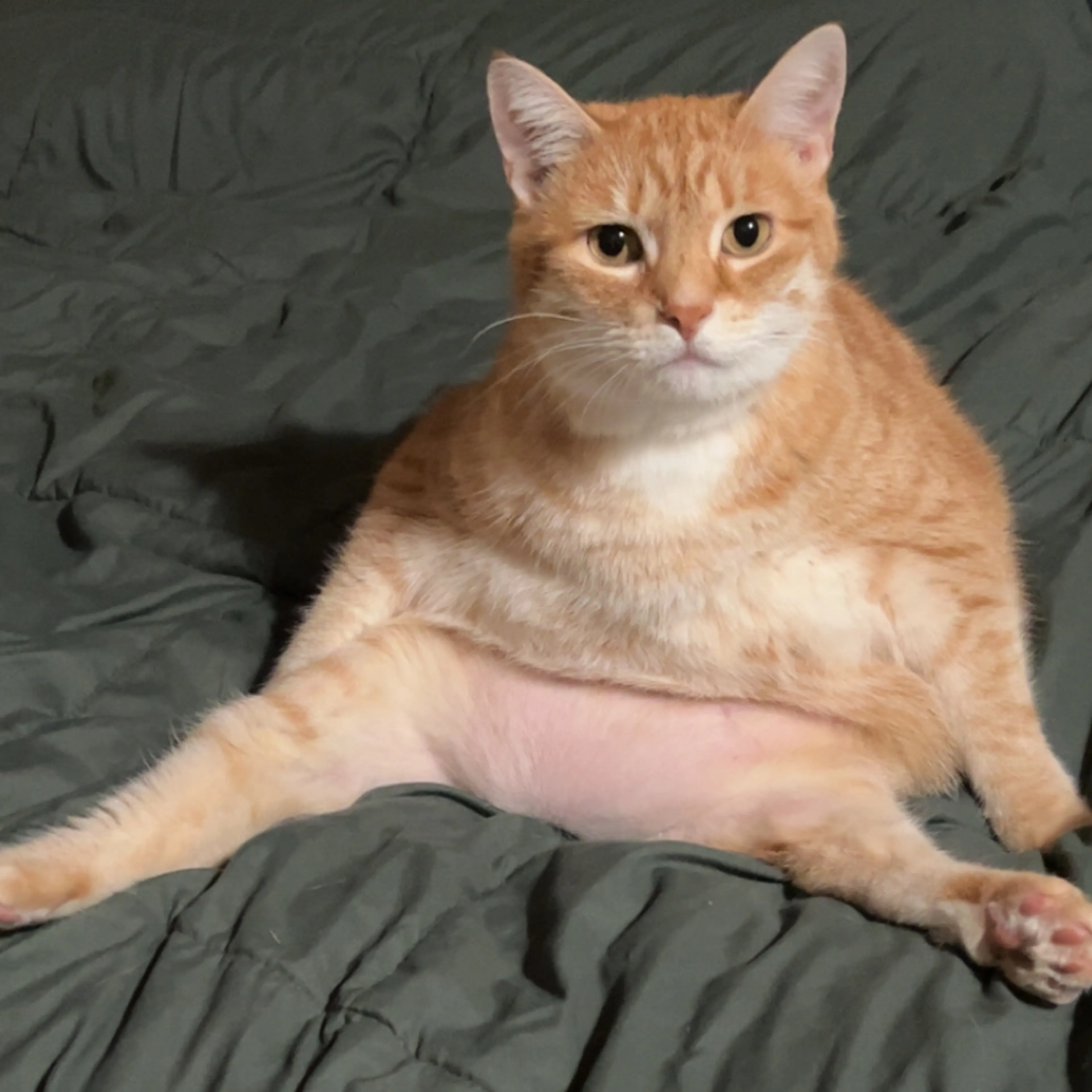 -2