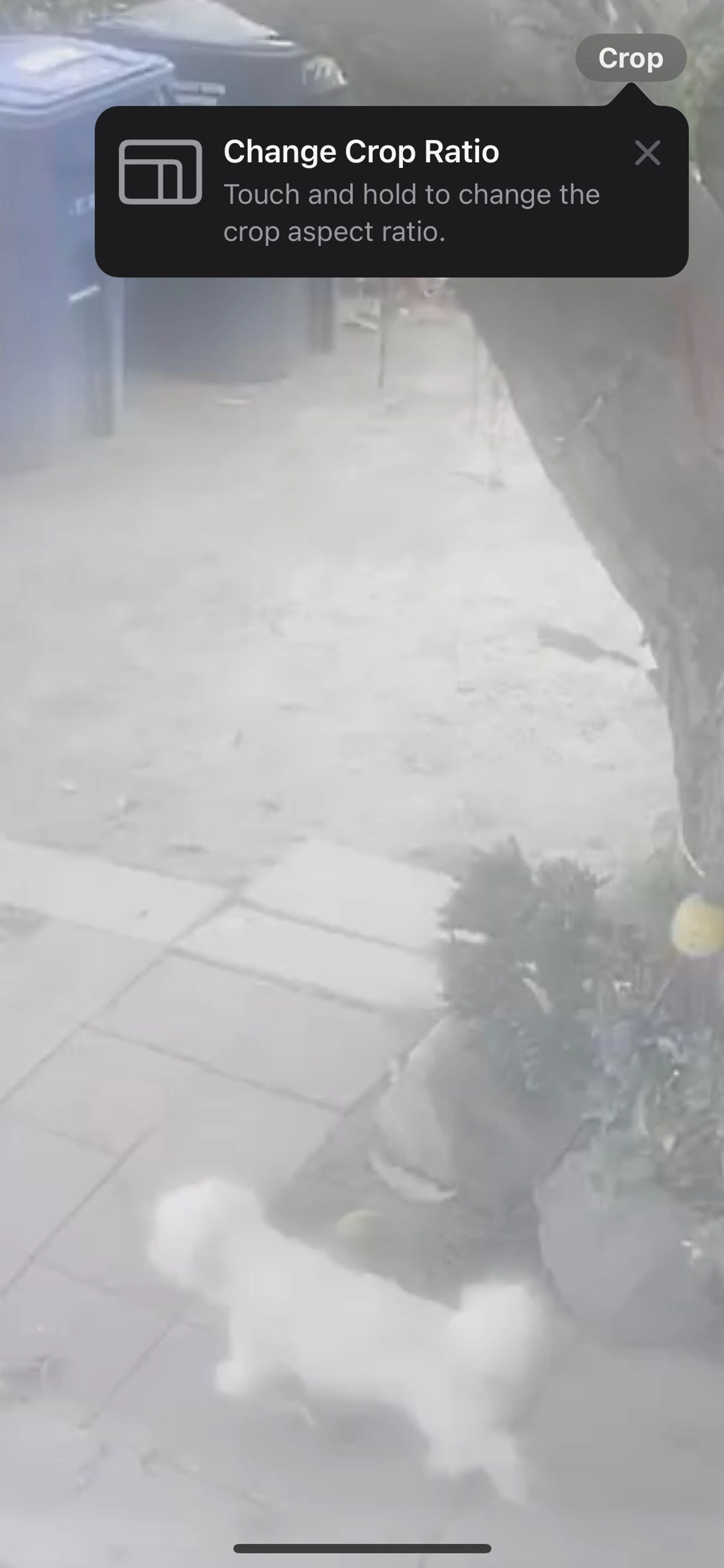 -1