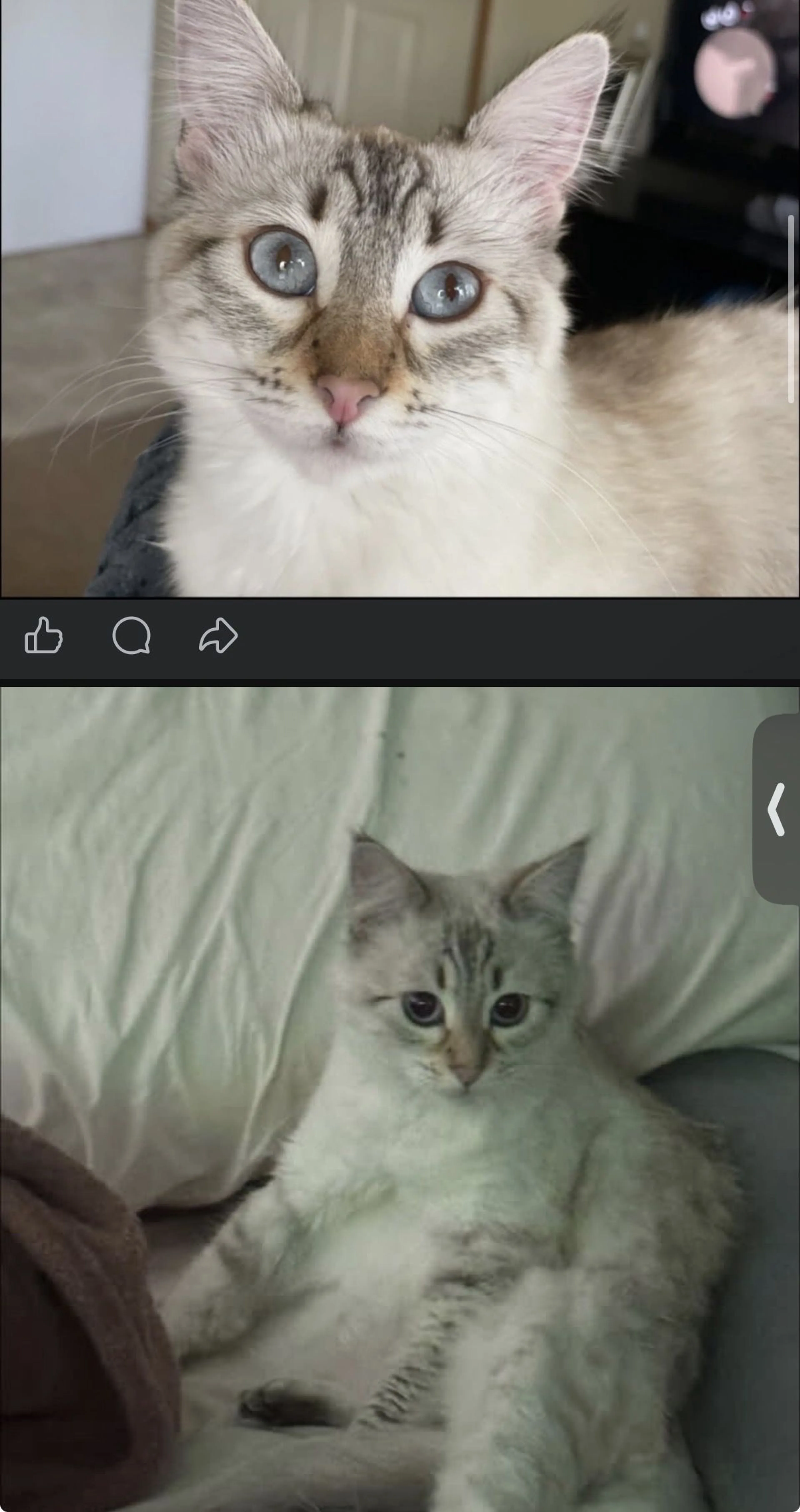 -0