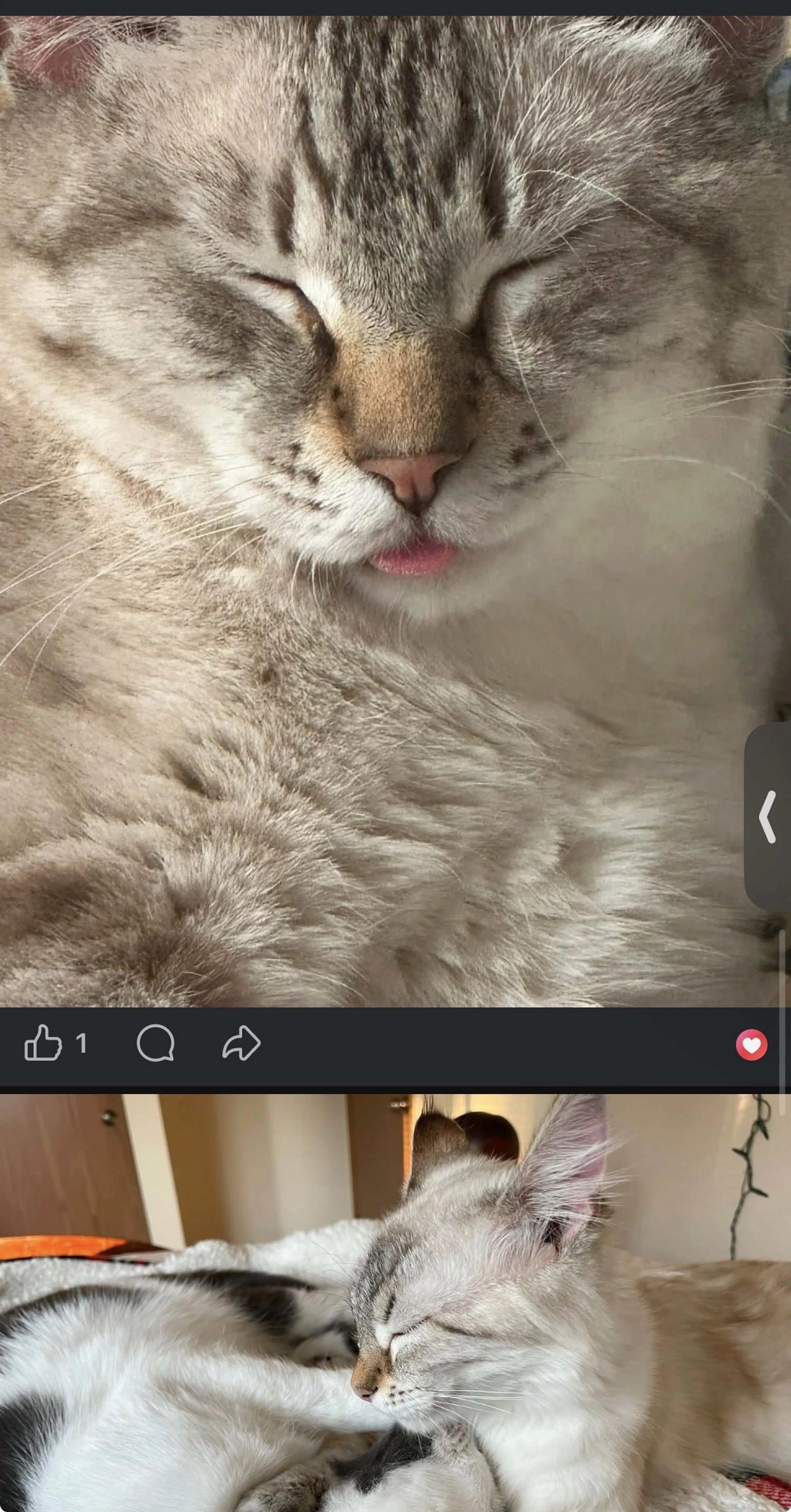 -1