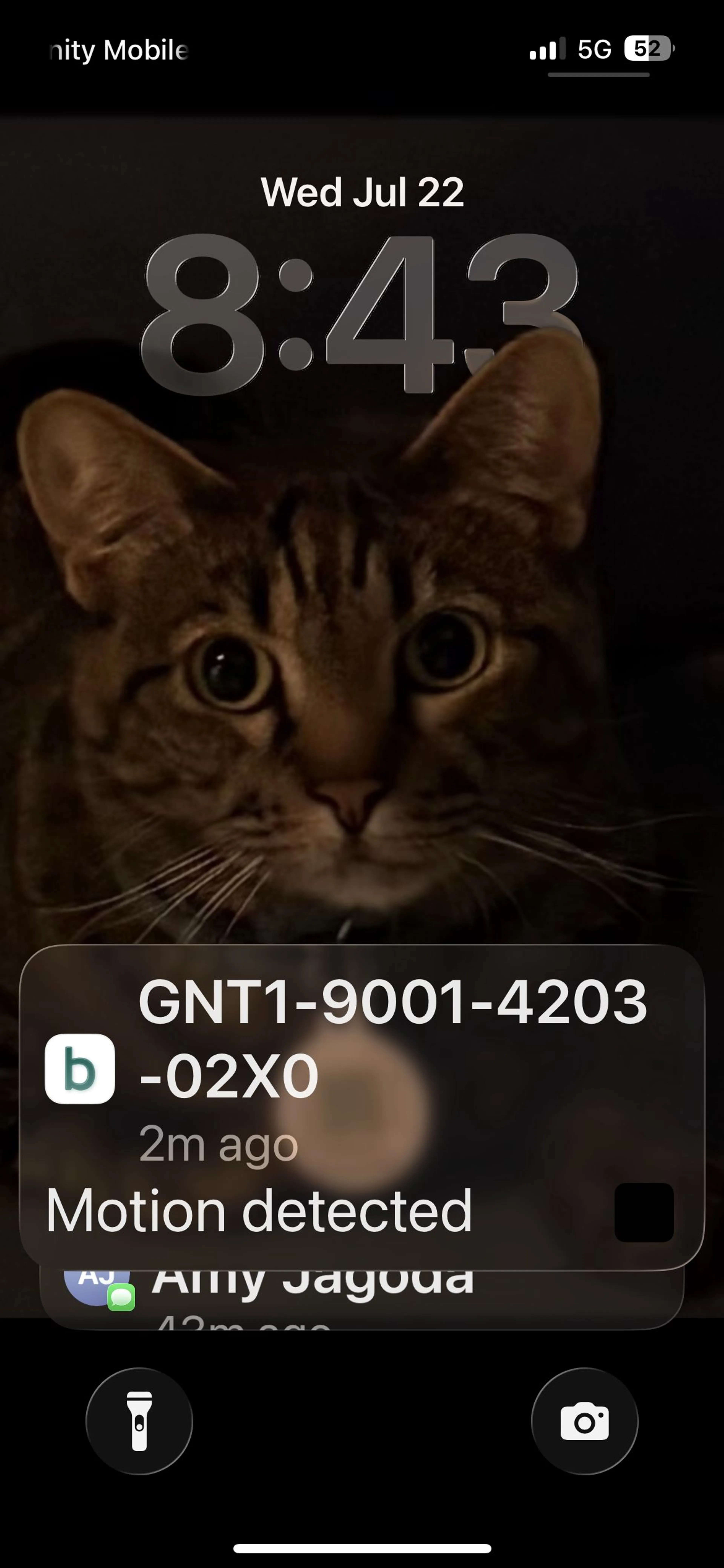 cdn image