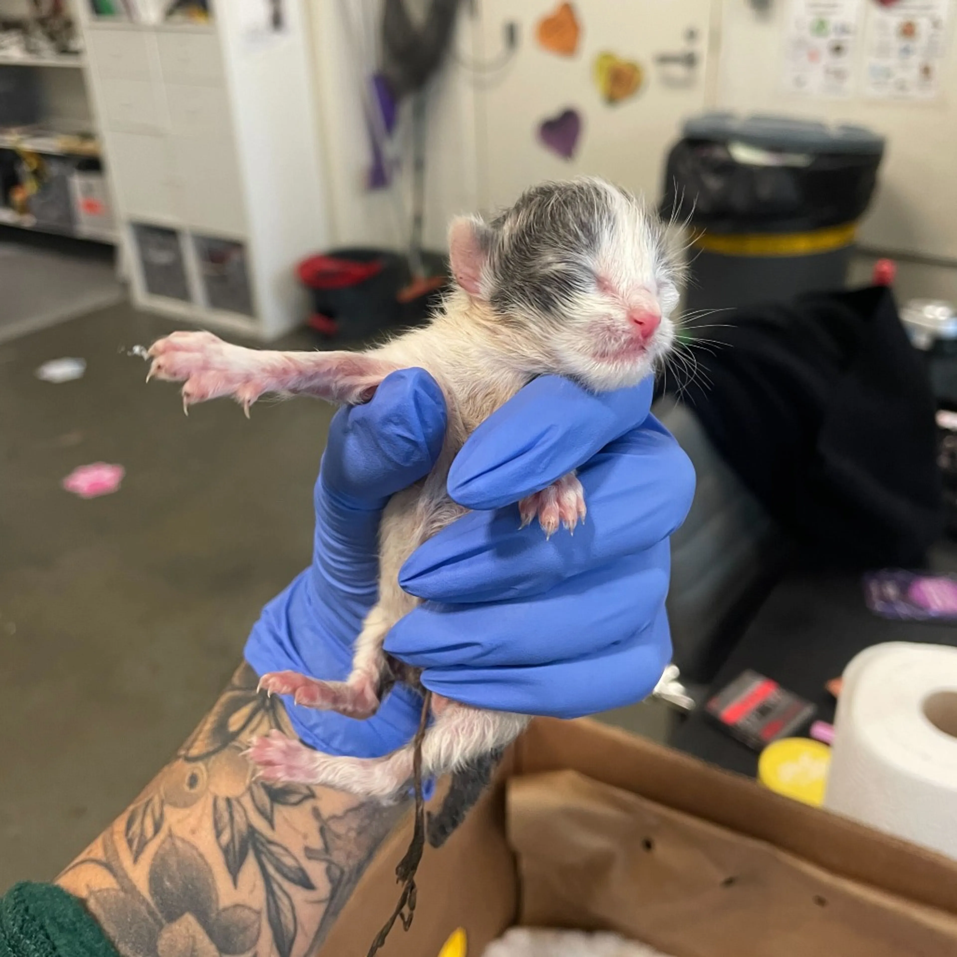 -1