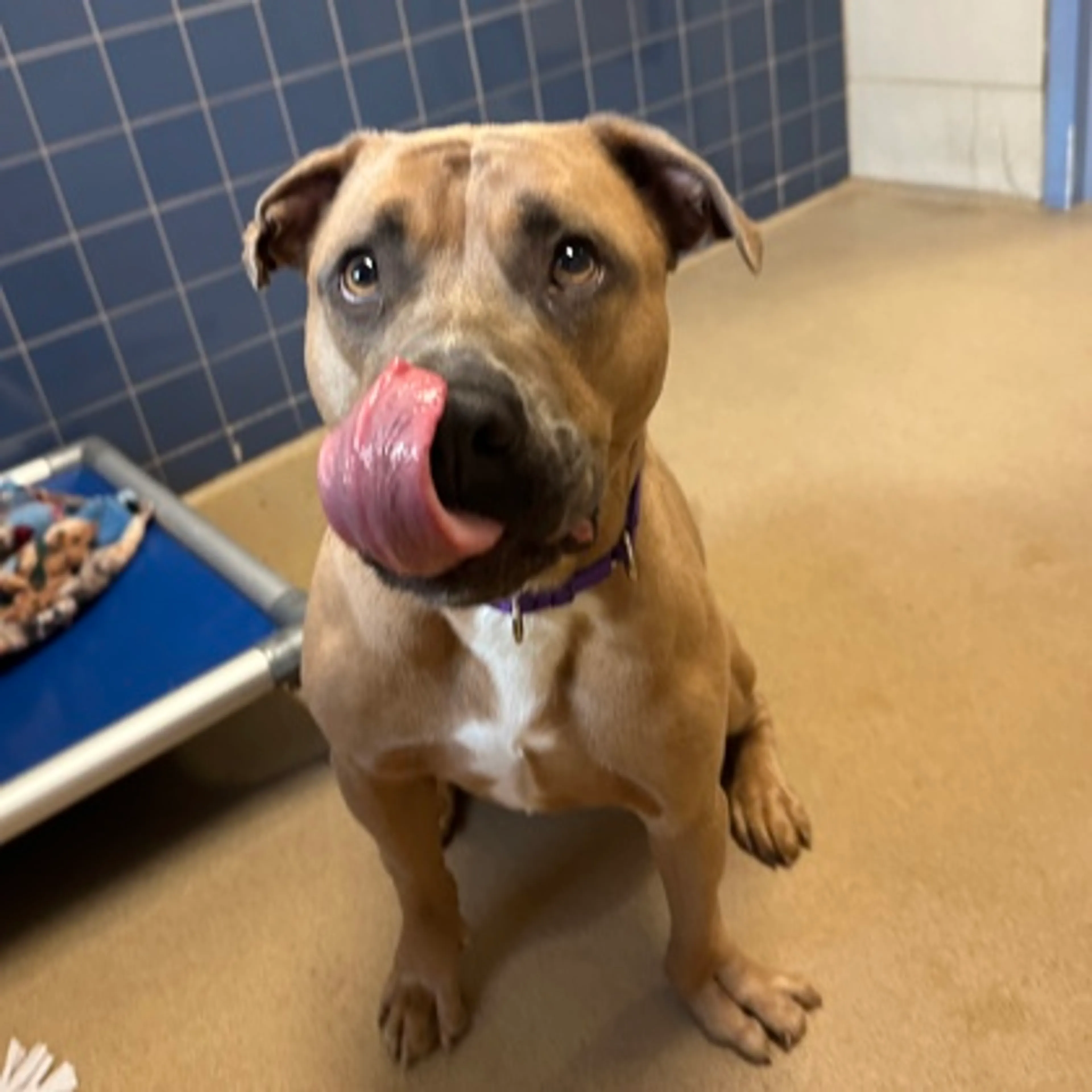 -2