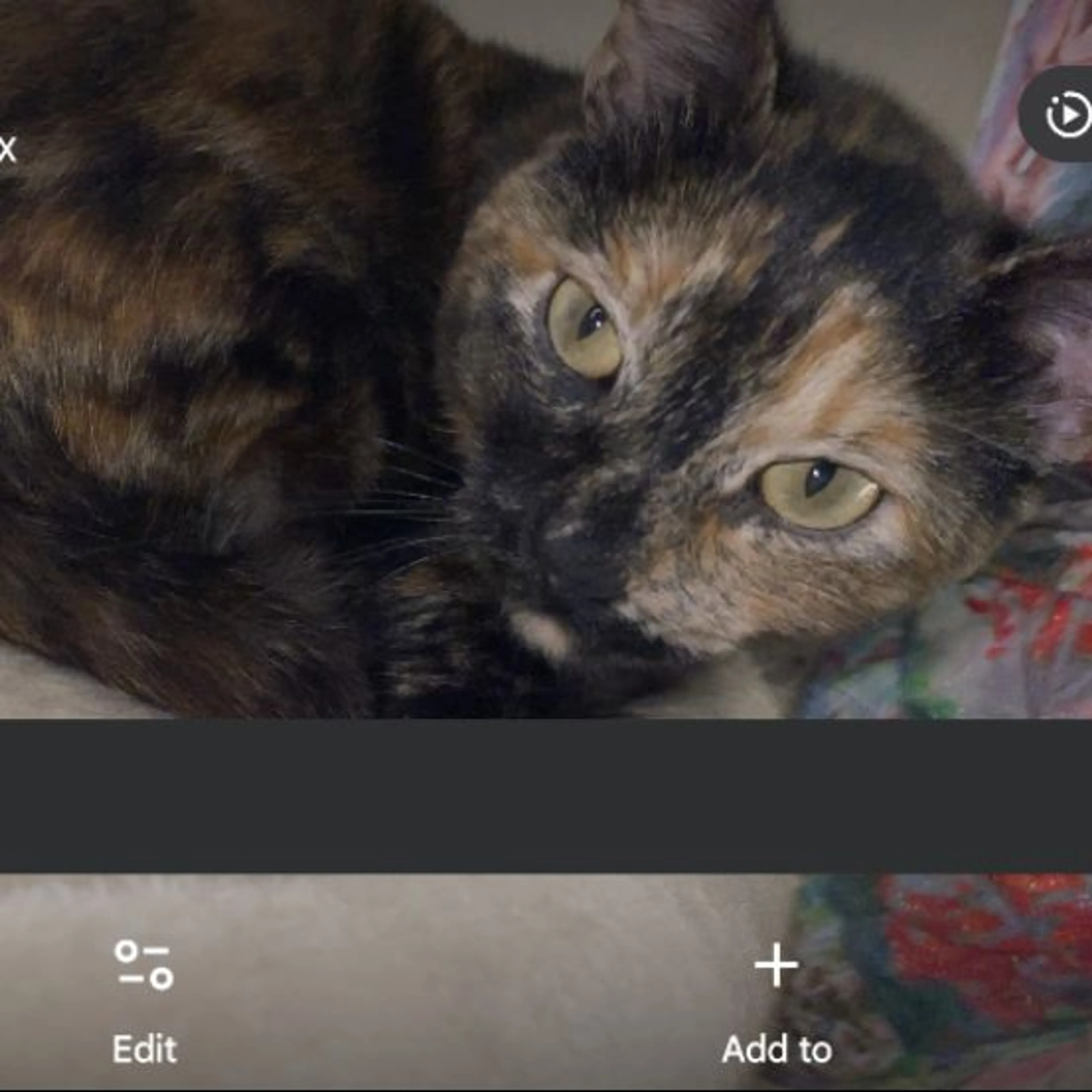 cdn image