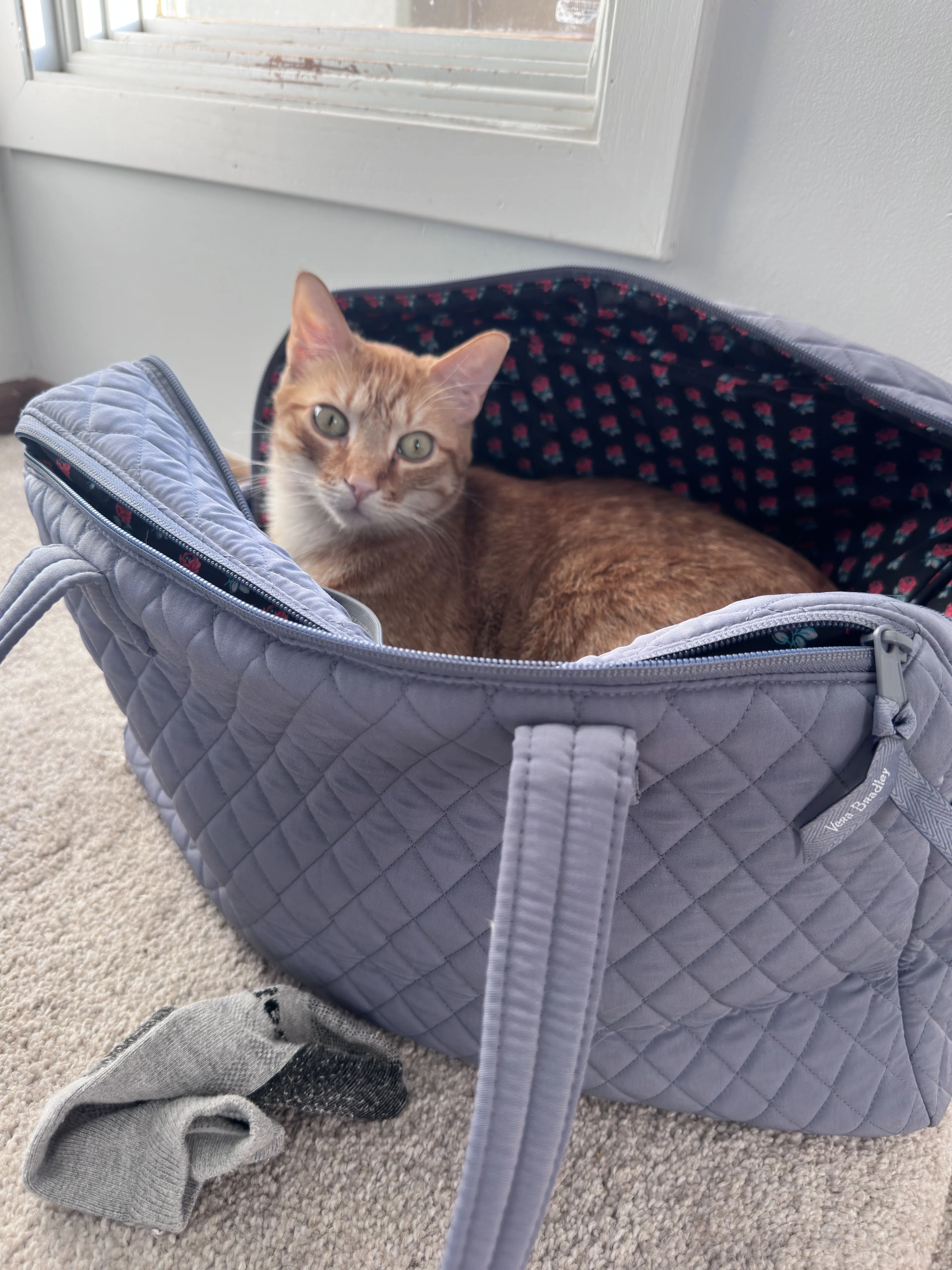 -3