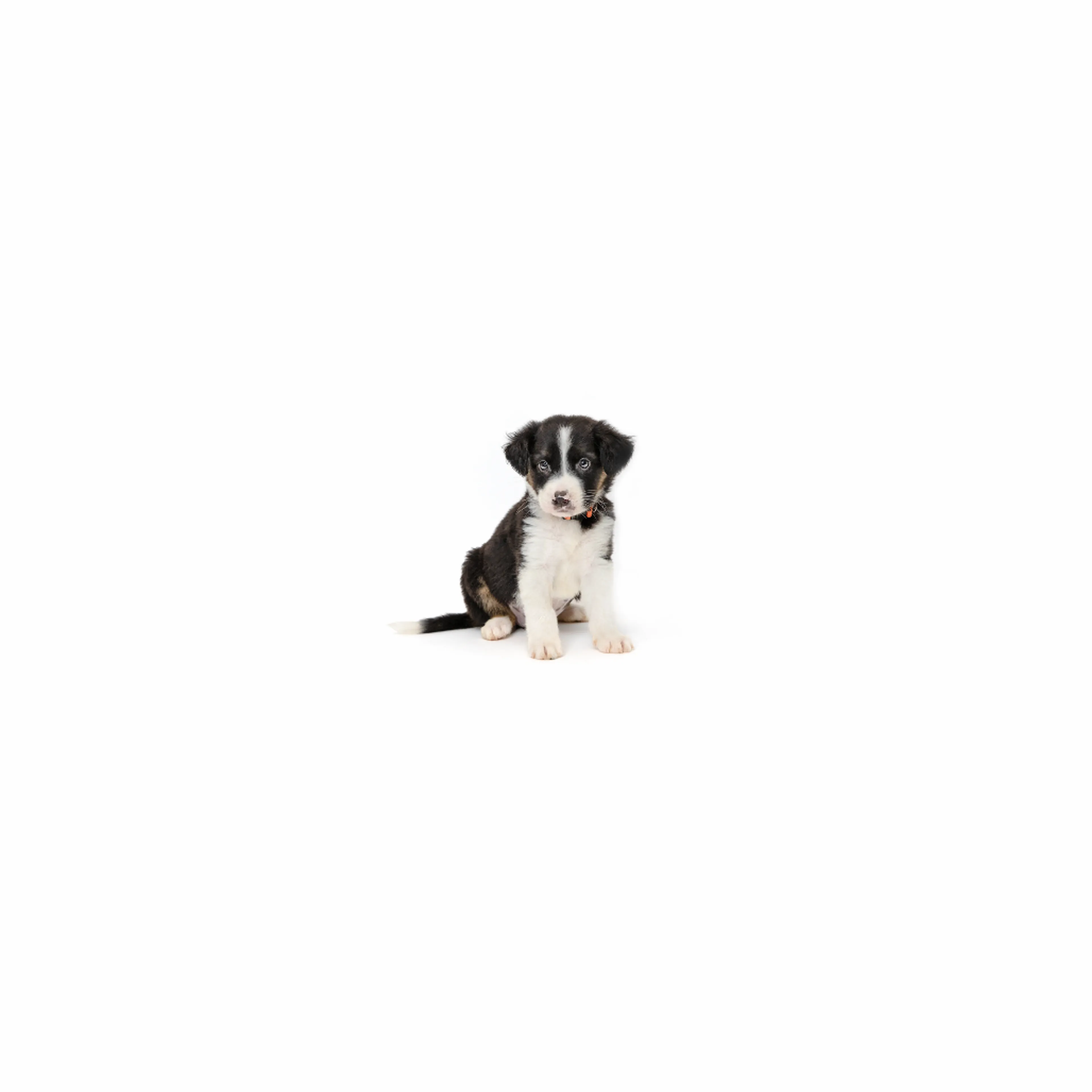 cdn image
