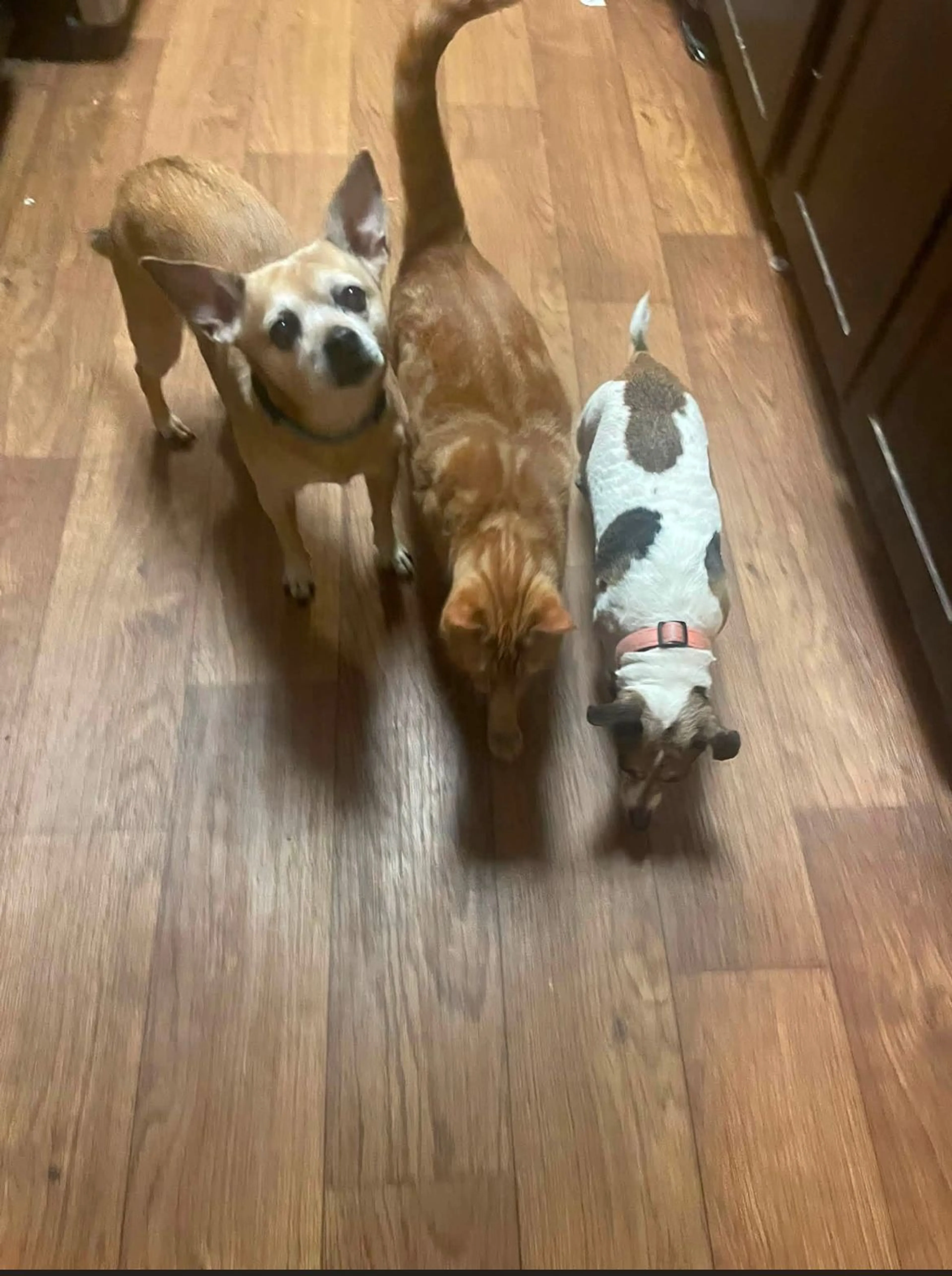 -3