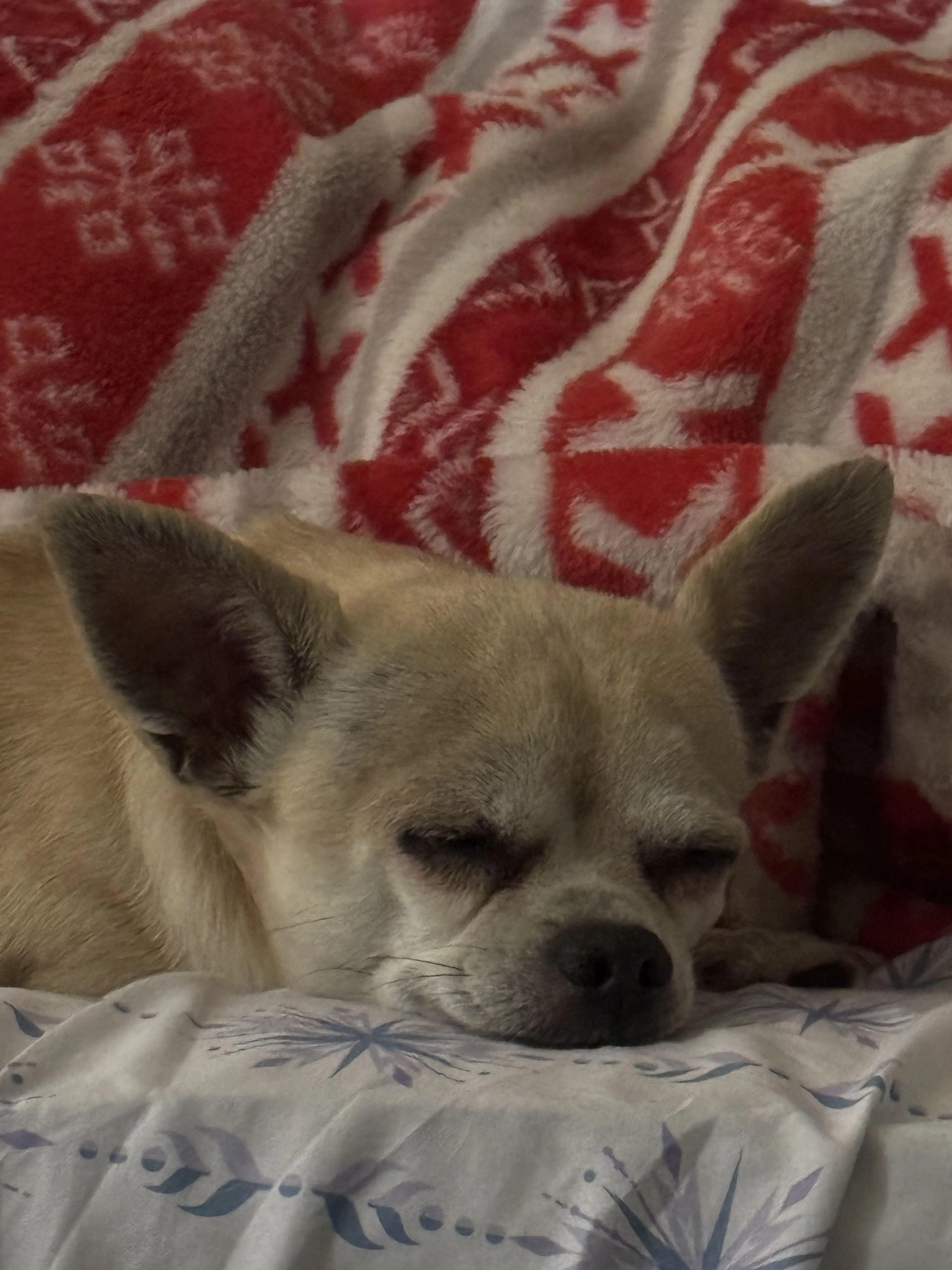 -3