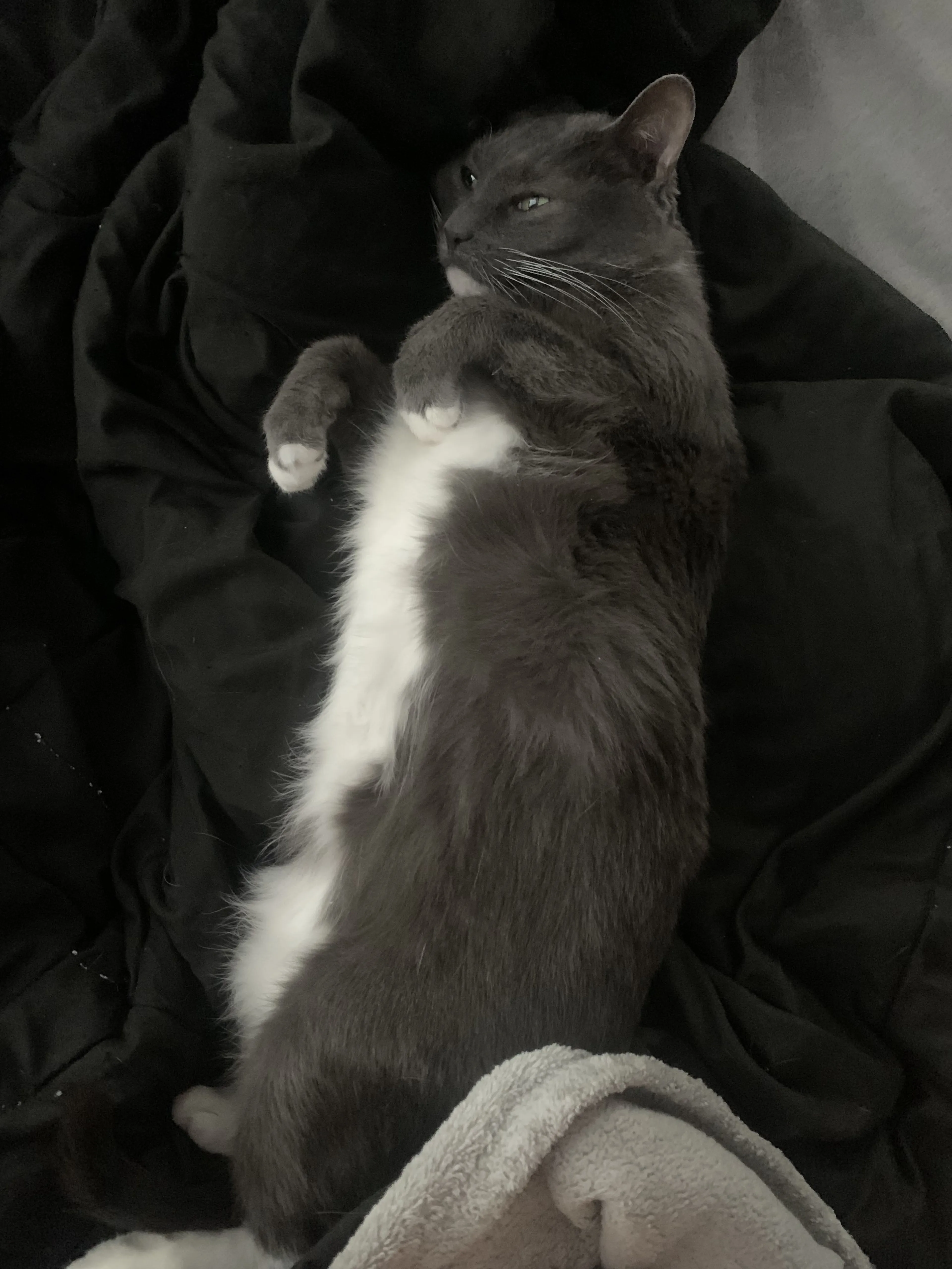 -1